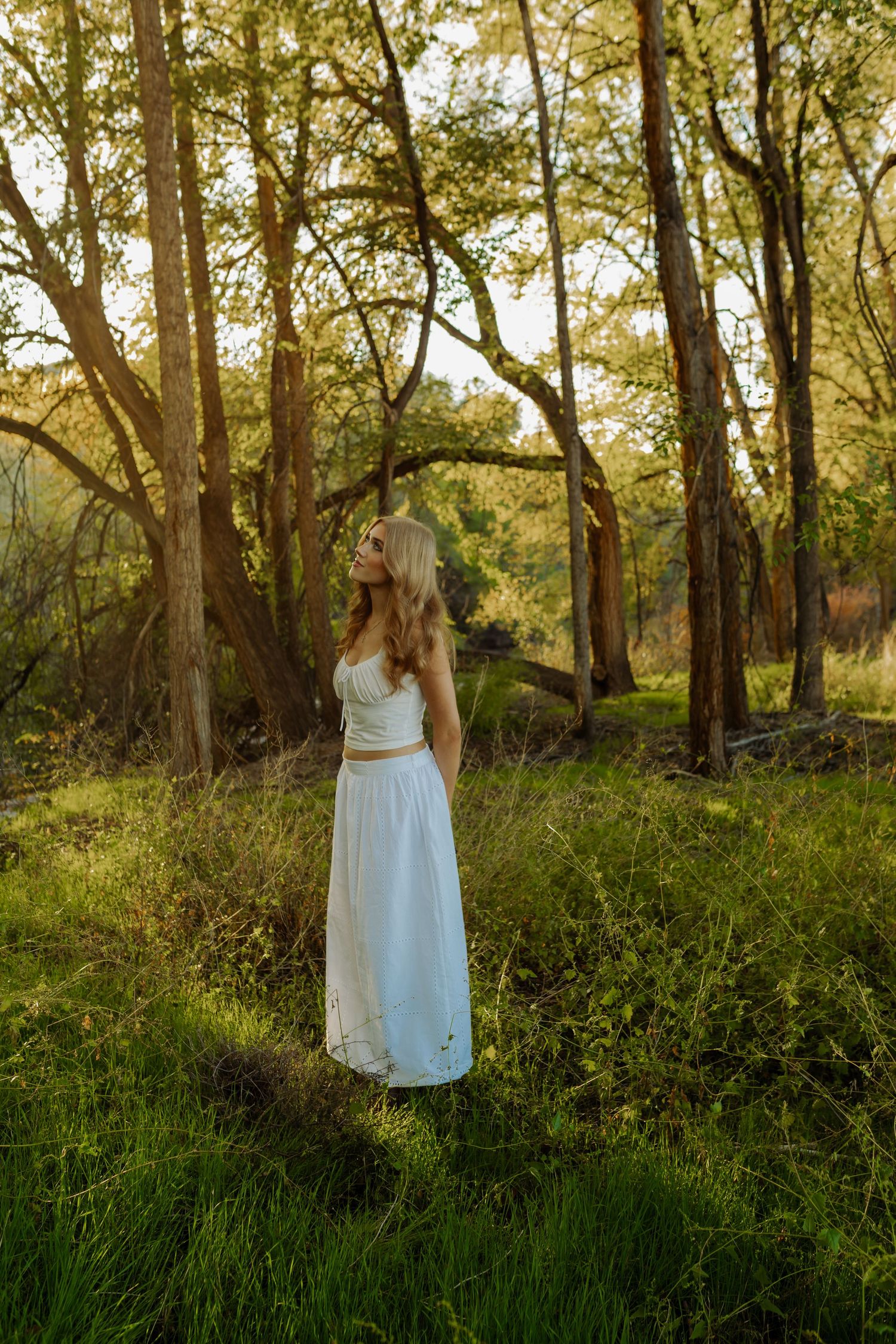 colorado forest photography, senior girl photography in field and forest western colorado, Grand Junction colorado photography