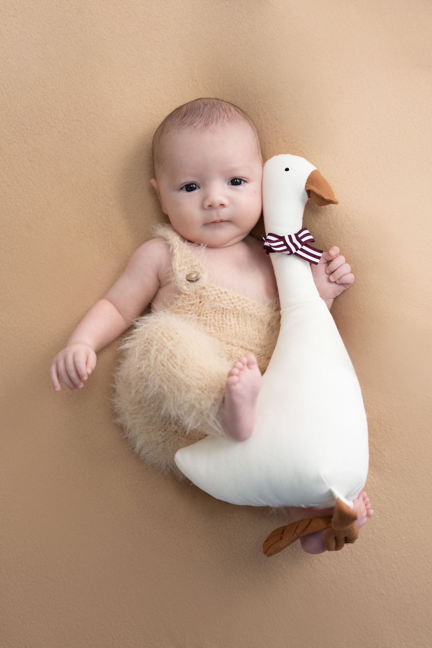 Baby lying on beige background next to large white plush goose toy wearing striped bow tie.