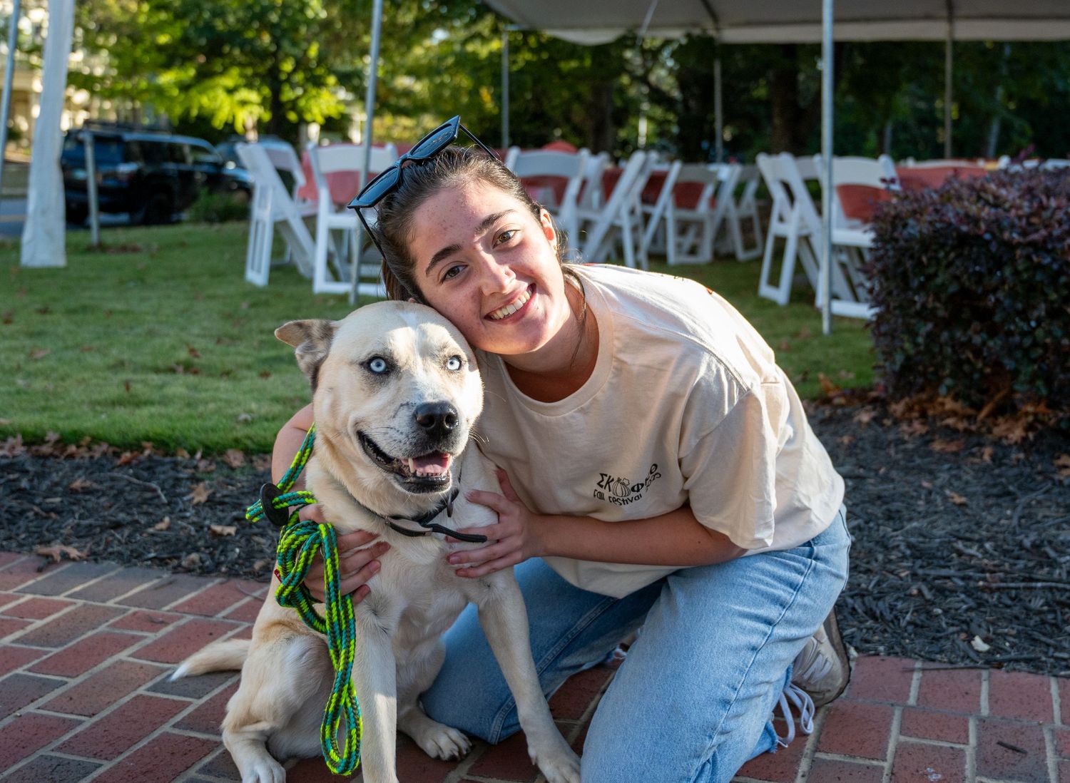 Happy yellow Labrador dogs with green leashes meeting on a brick patio.