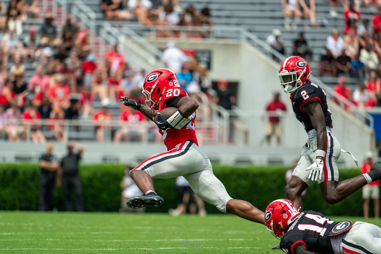 Georgia Bulldogs football player #80 leaps over defenders during a college football game at Sanford Stadium.