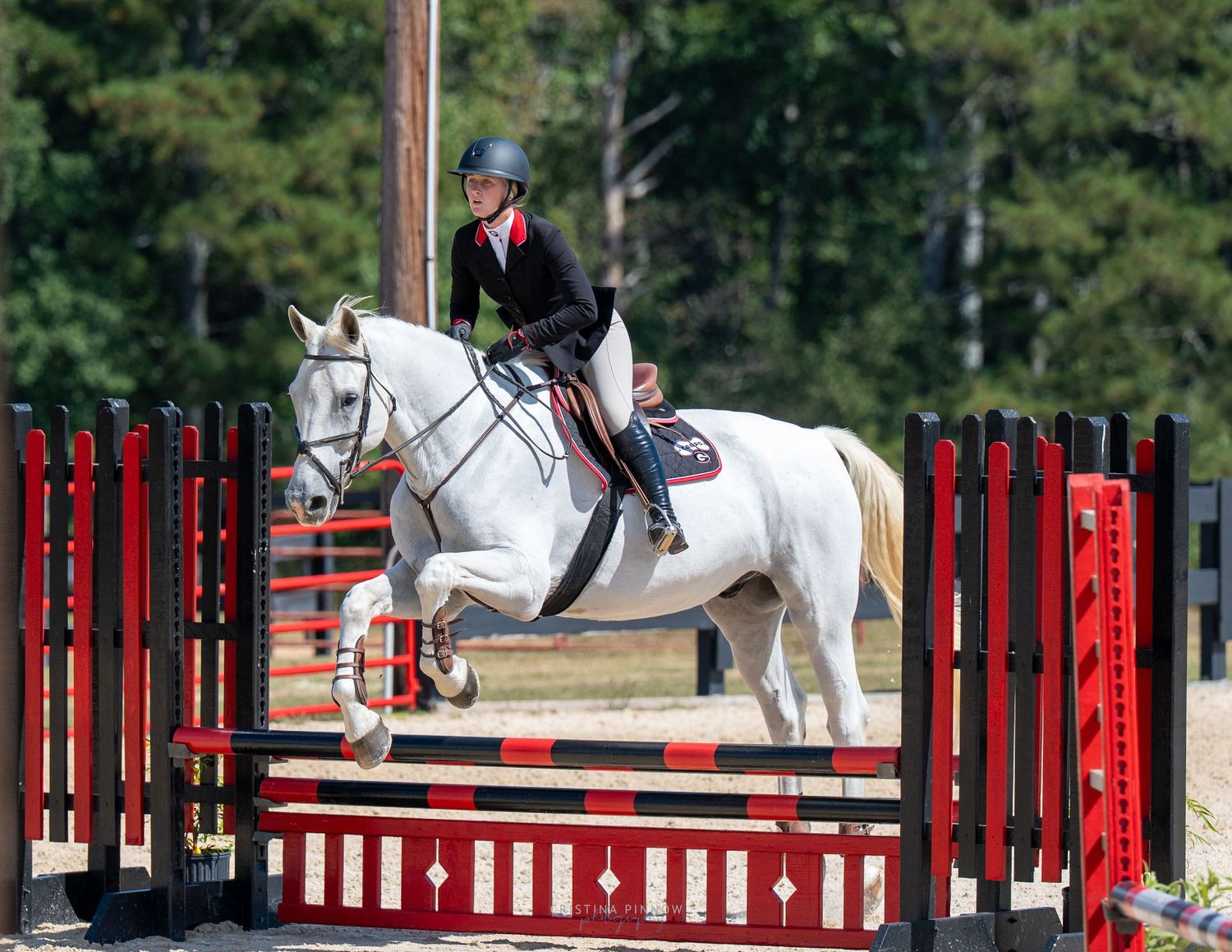 Equestrian rider jumps horse over red and white obstacles during competition.