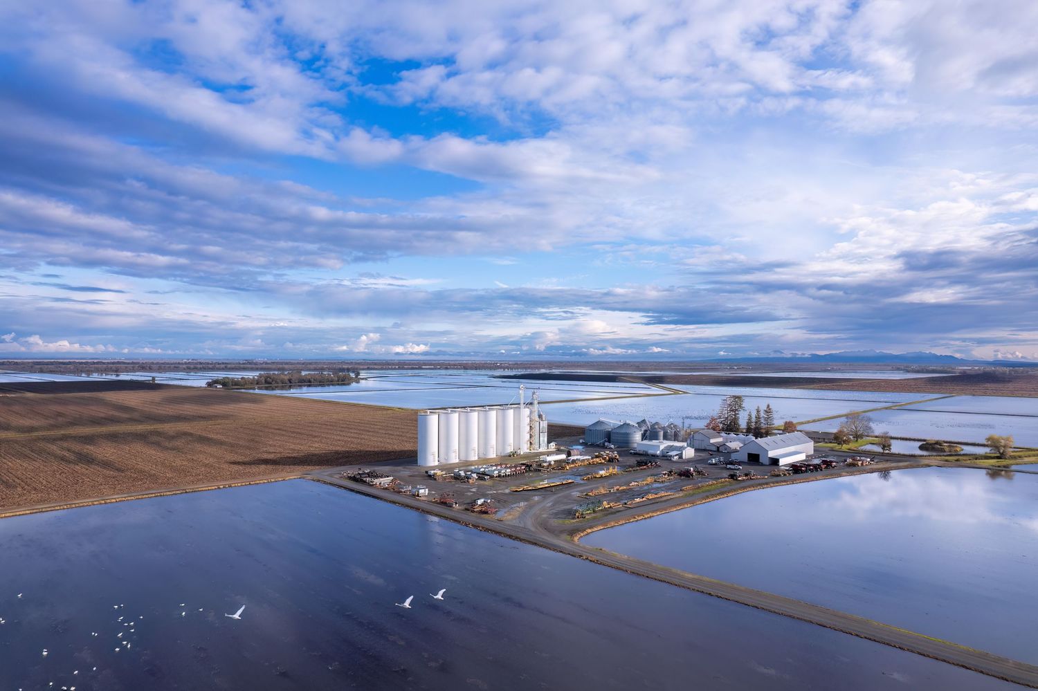Aerial drone photo of grain processing plant,  flooded rice fields, Llano Sacco CA.