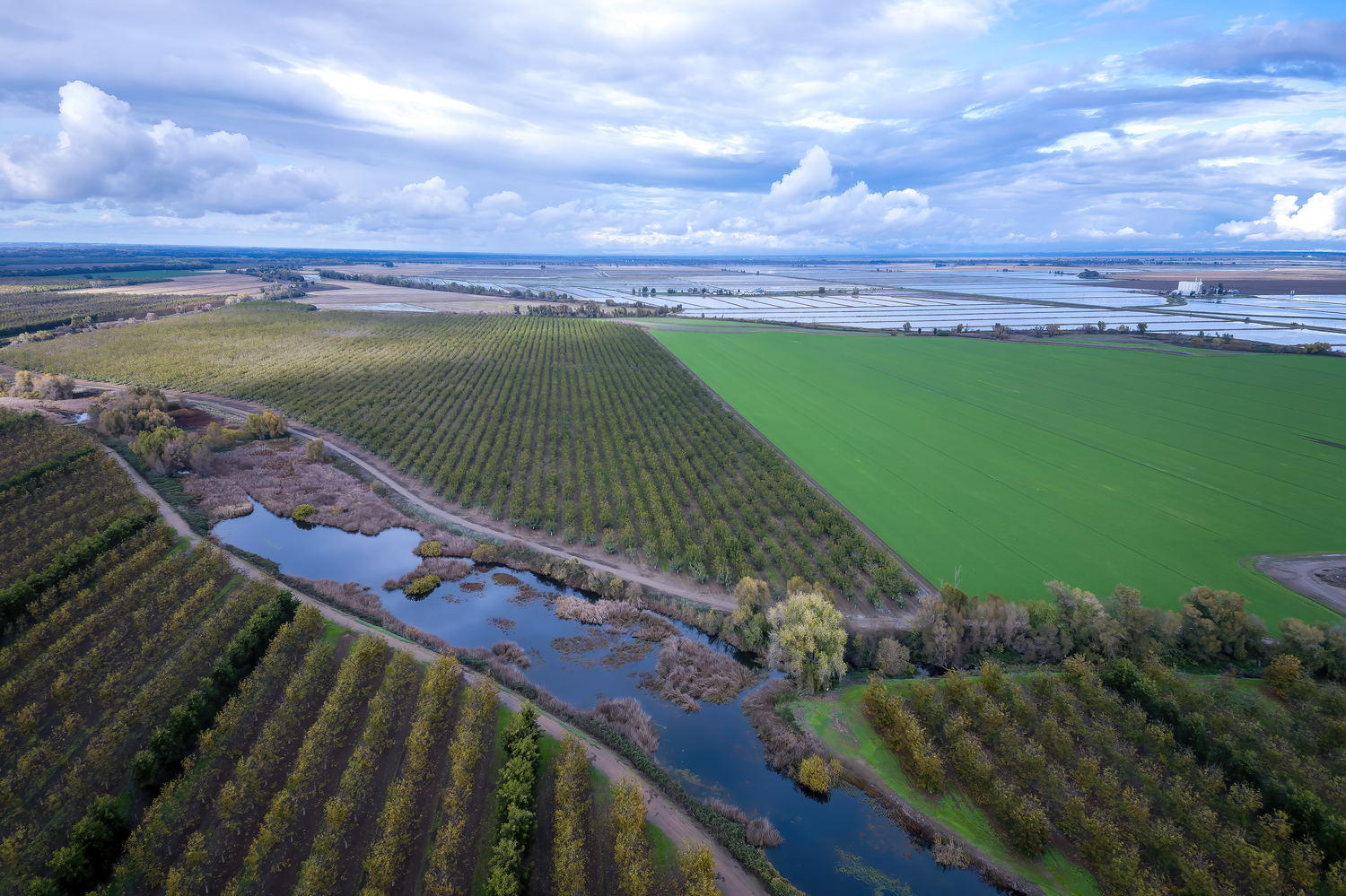 Aerial drone agricultural property survey showing peacan fields, slough and, green fields. Clouds