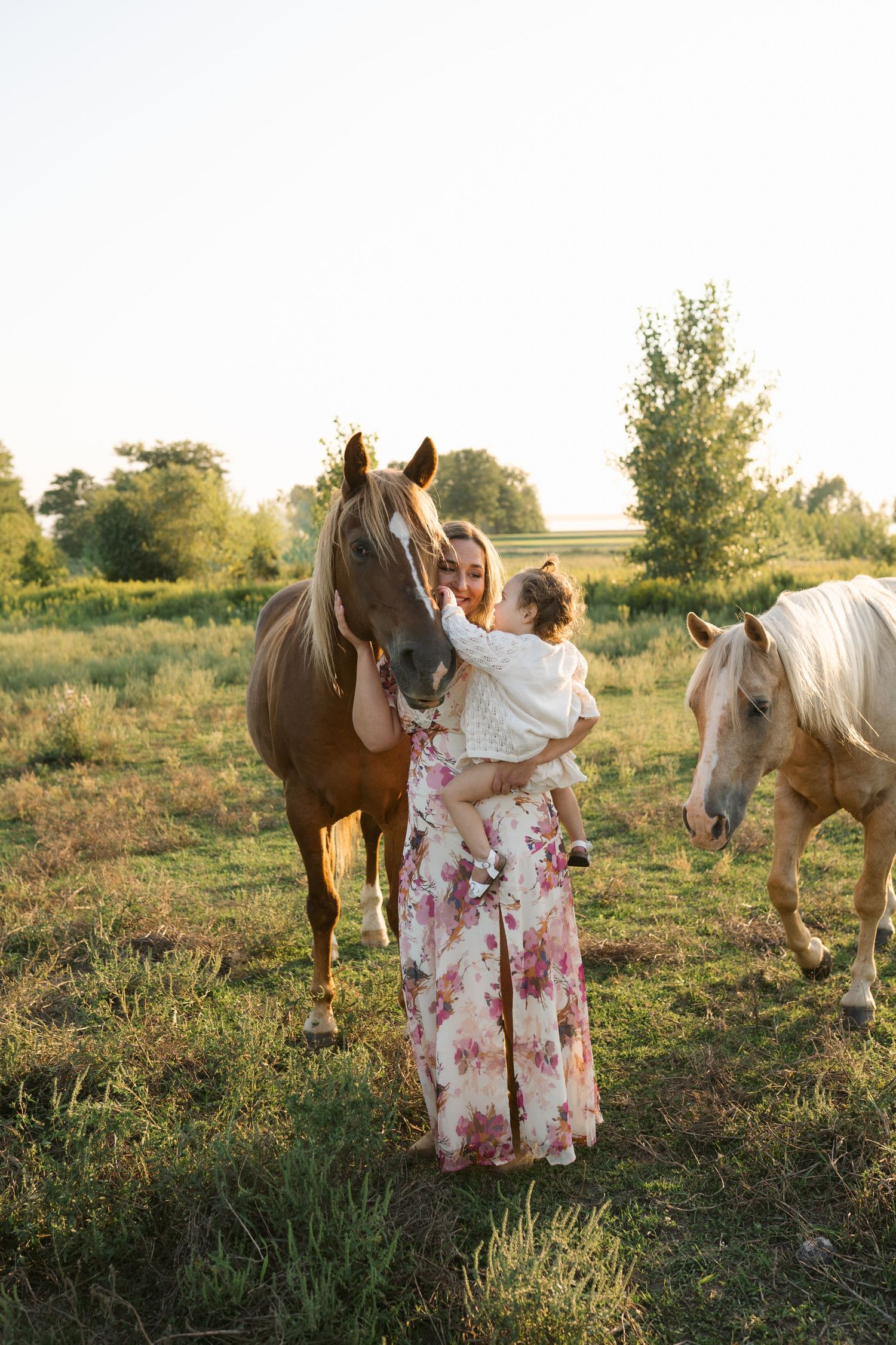 Family Session With Horses On A Private Property In St. John, Indiana Near Chicago