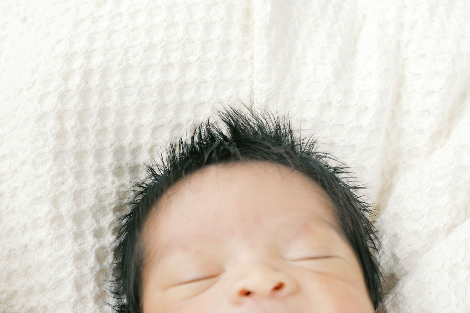 Close-up of newborn baby hands during a studio newborn photography session in Valparaiso, Indiana.