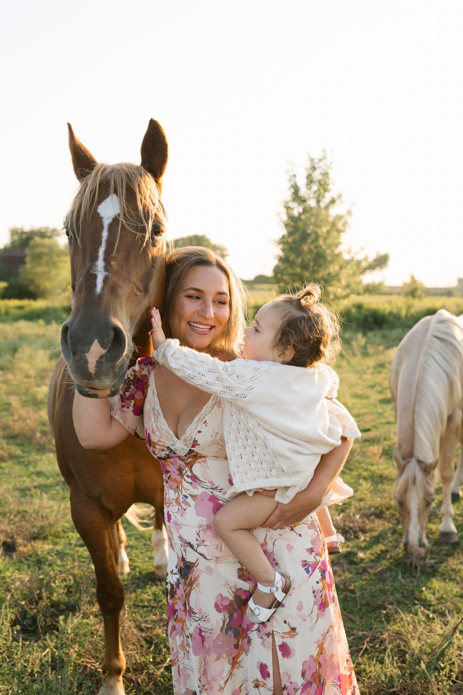 Family Session With Horses On A Private Property In St. John, Indiana Near Chicago