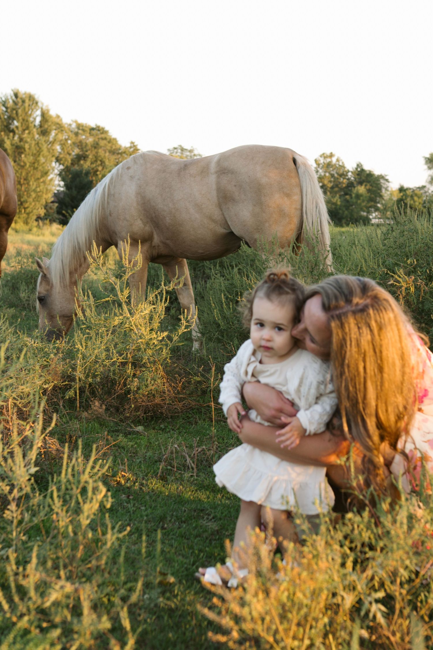 Family Session With Horses On A Private Property In St. John, Indiana Near Chicago
