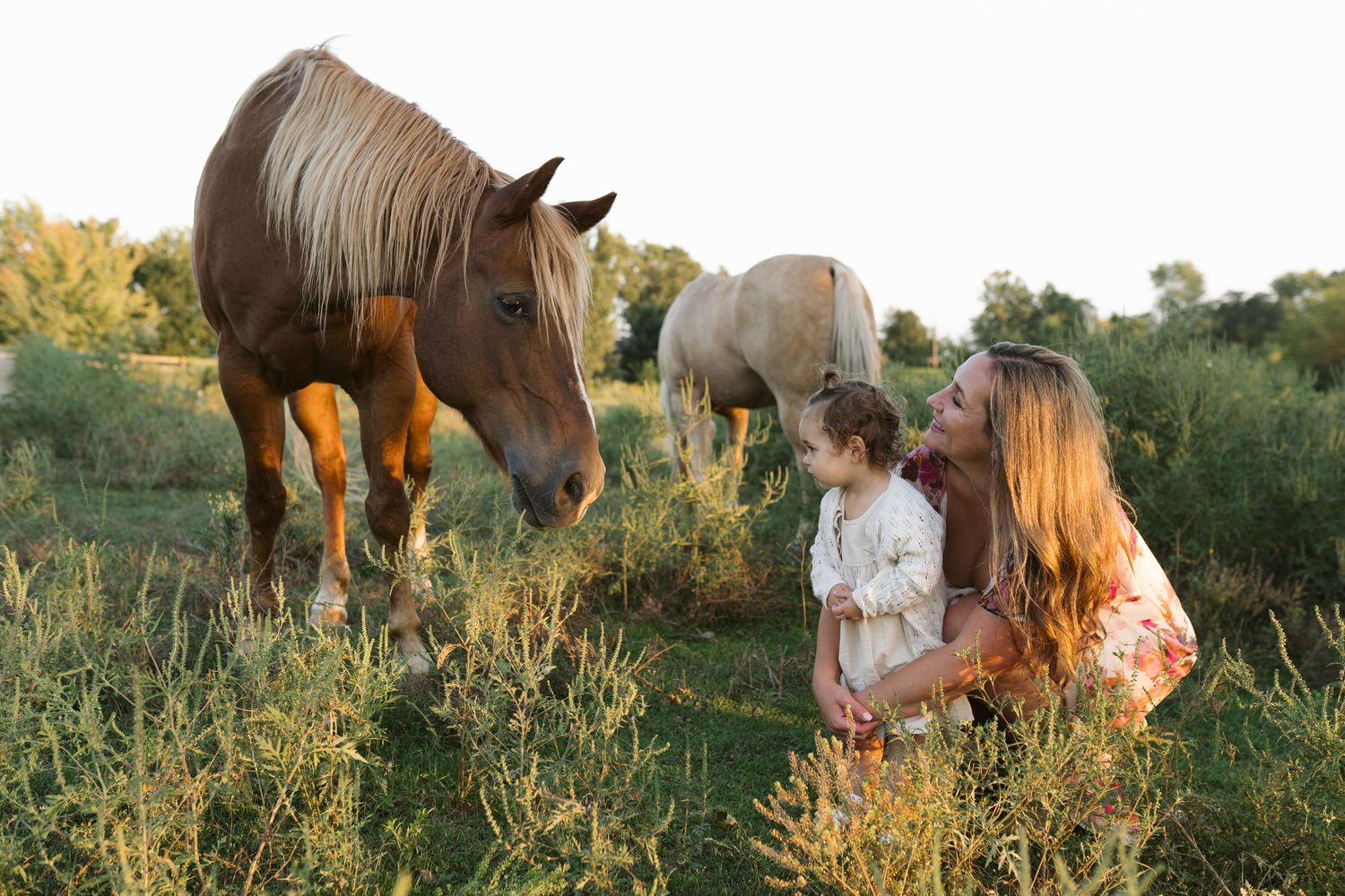 Family Session With Horses On A Private Property In St. John, Indiana Near Chicago