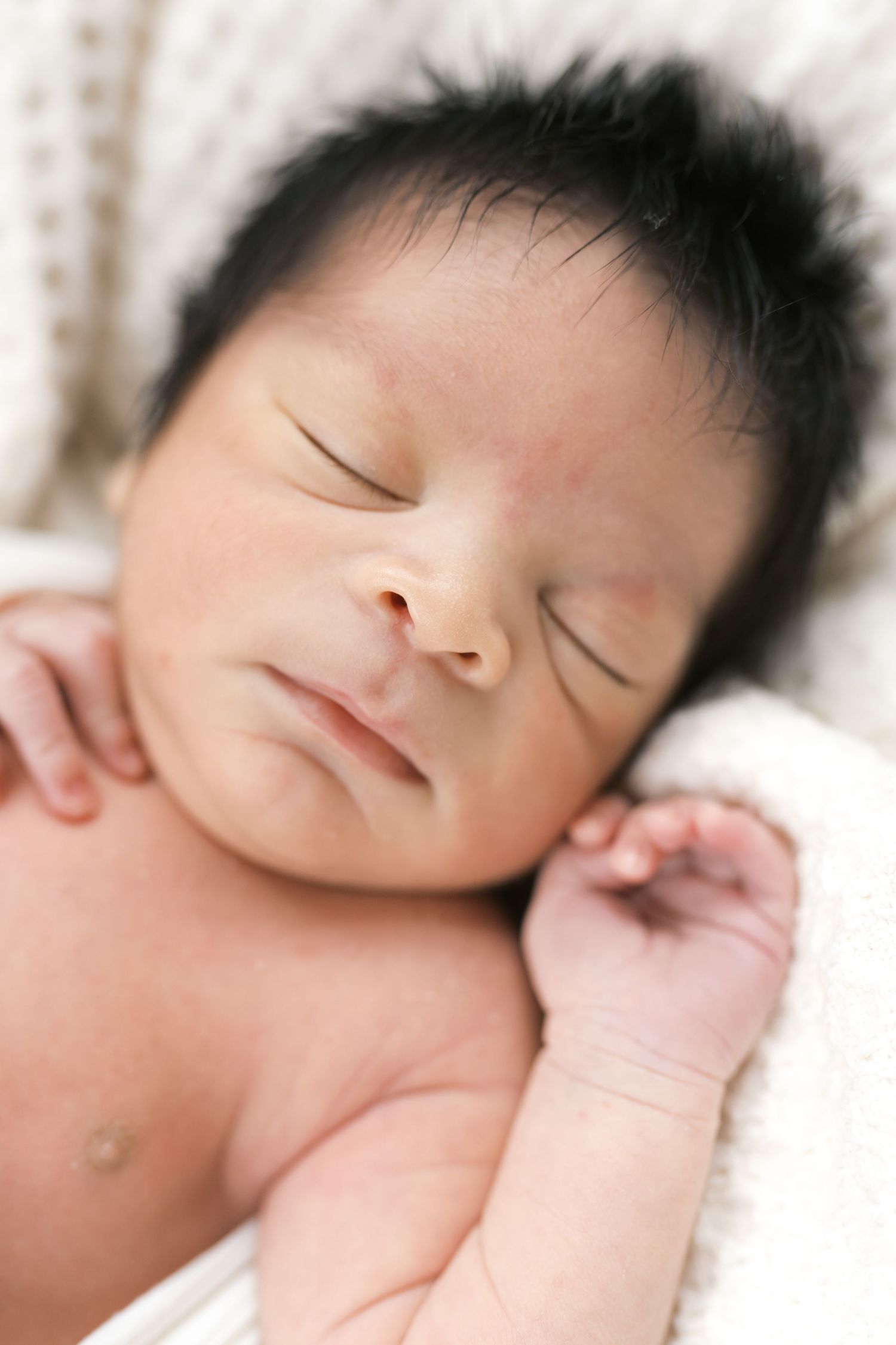Close-up of newborn baby hands during a studio newborn photography session in Valparaiso, Indiana.
