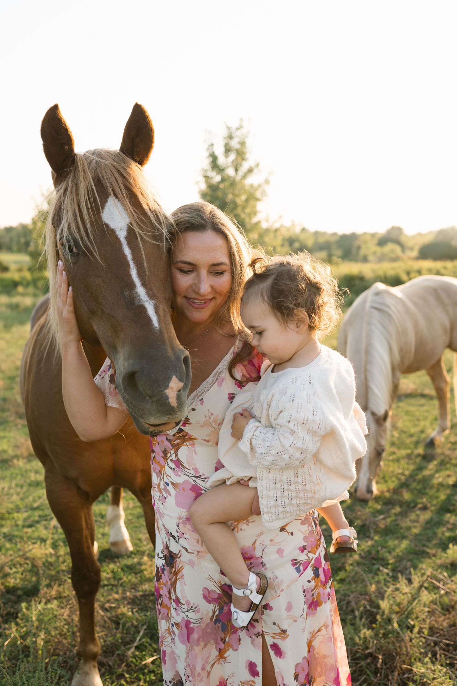 Family Session With Horses On A Private Property In St. John, Indiana Near Chicago