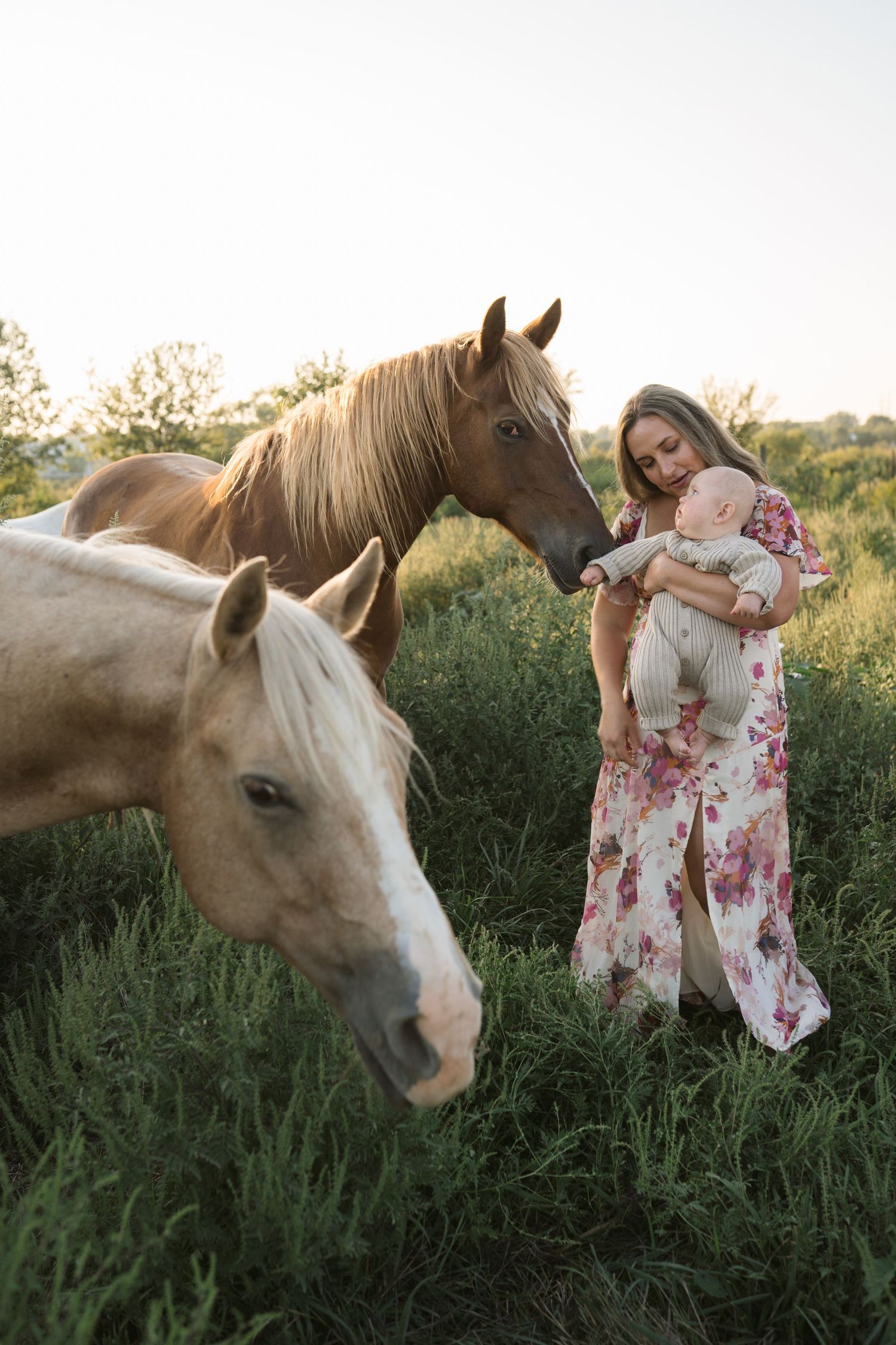 Family Session With Horses On A Private Property In St. John, Indiana Near Chicago