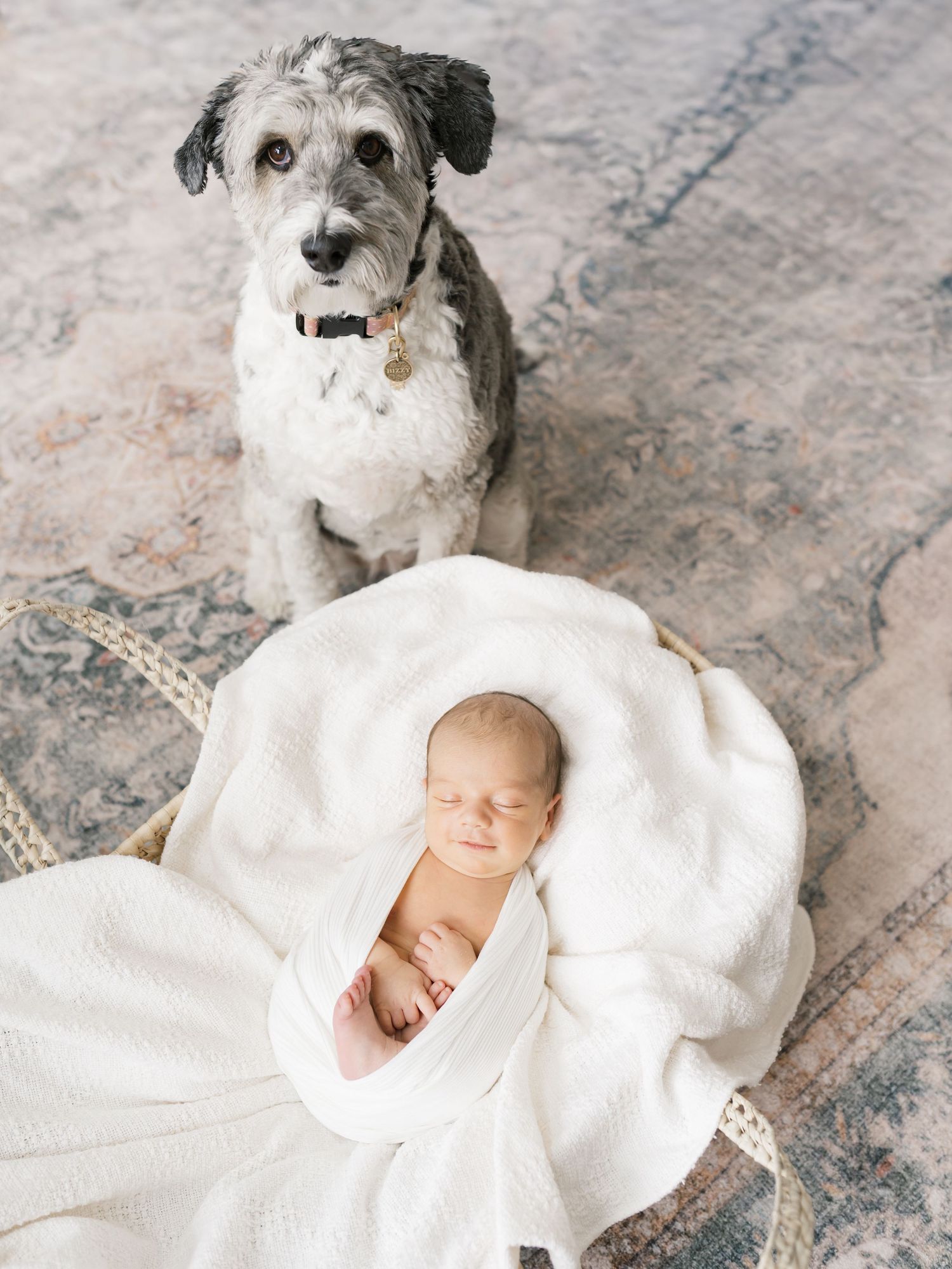 Chicago Newborn Photographer