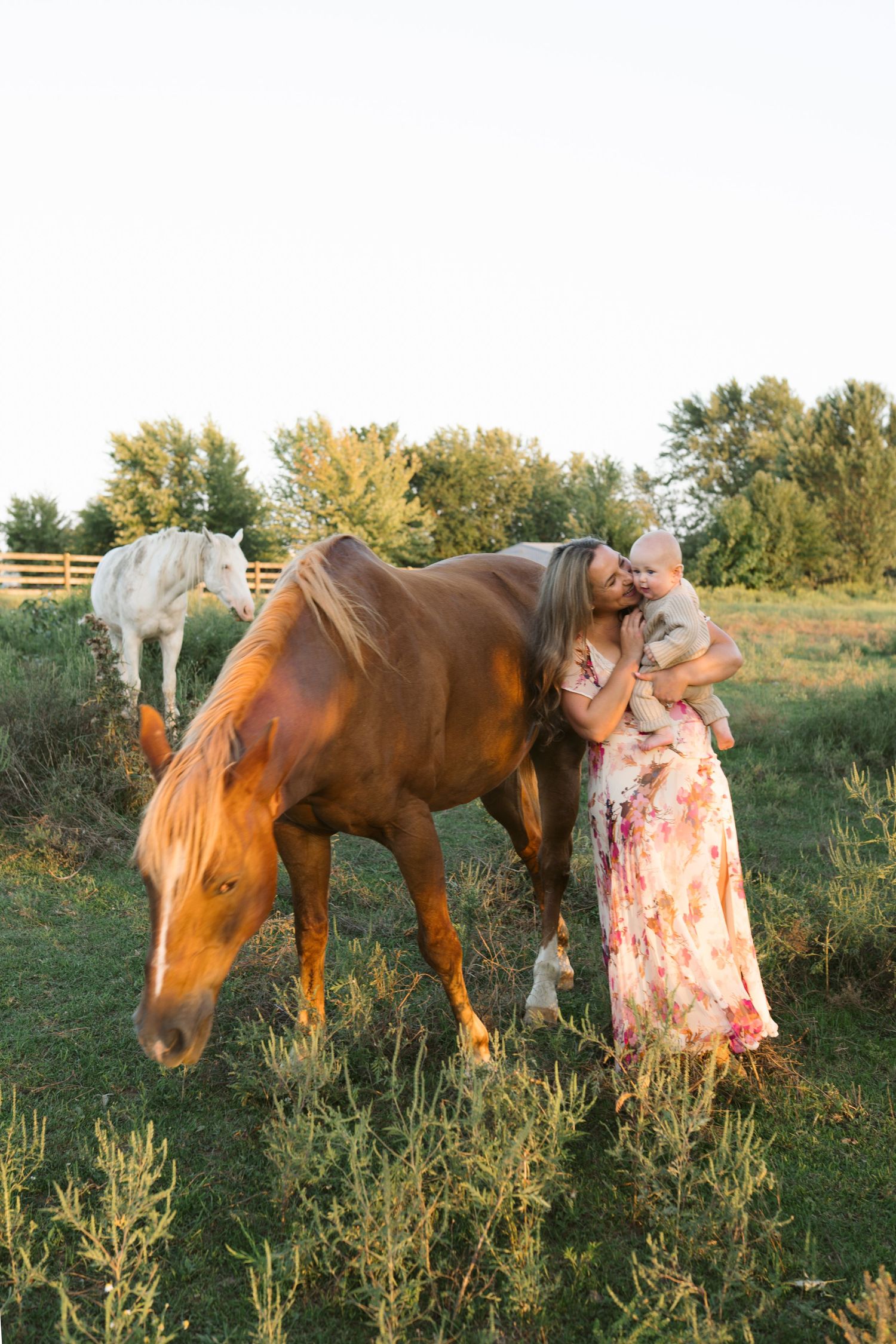 Family Session With Horses On A Private Property In St. John, Indiana Near Chicago