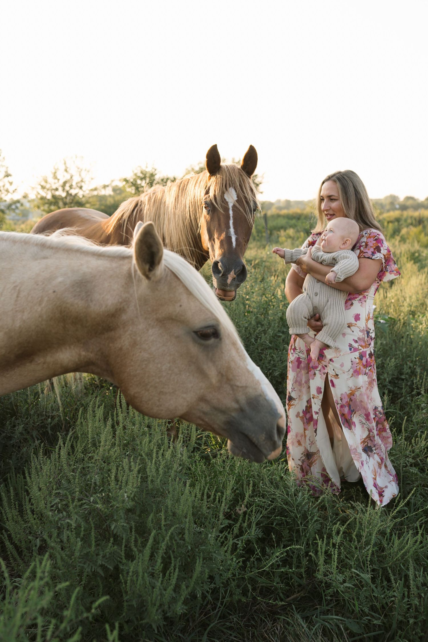 Family Session With Horses On A Private Property In St. John, Indiana Near Chicago