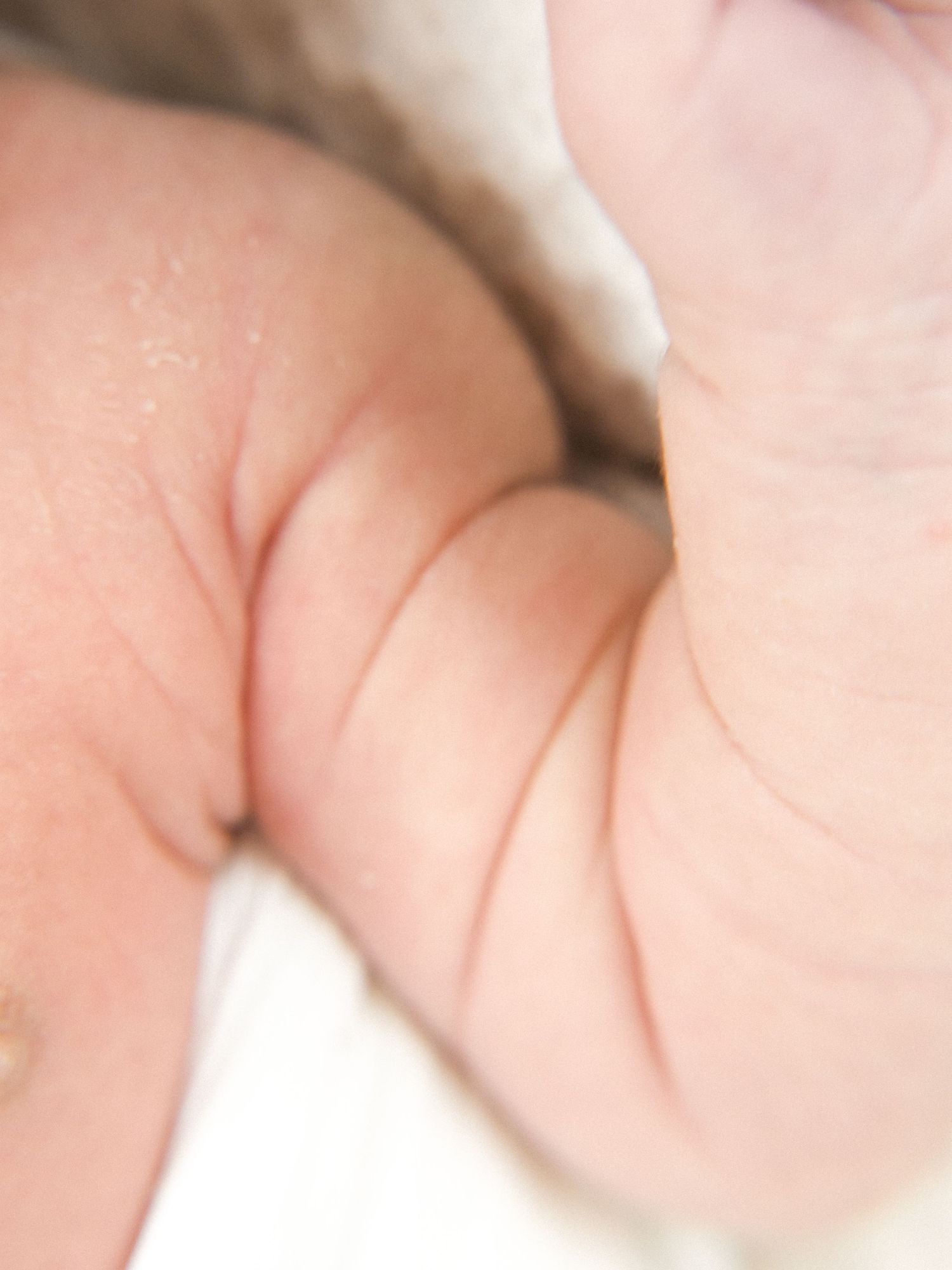 Close-up of newborn baby hands during a studio newborn photography session in Valparaiso, Indiana.