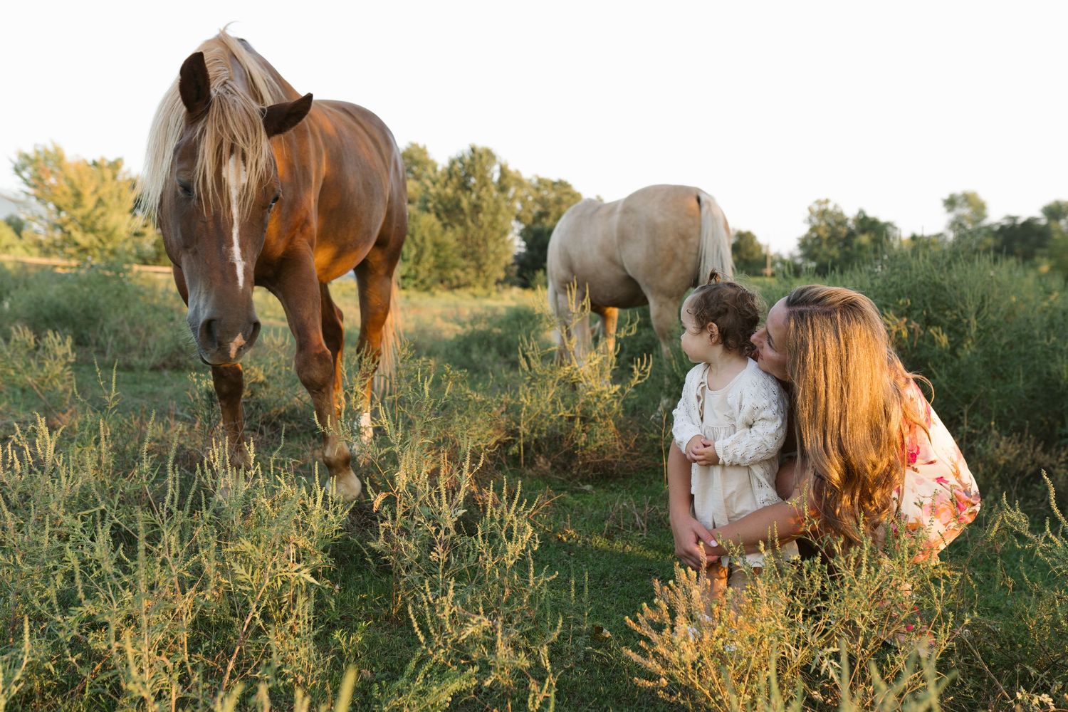 Family Session With Horses On A Private Property In St. John, Indiana Near Chicago
