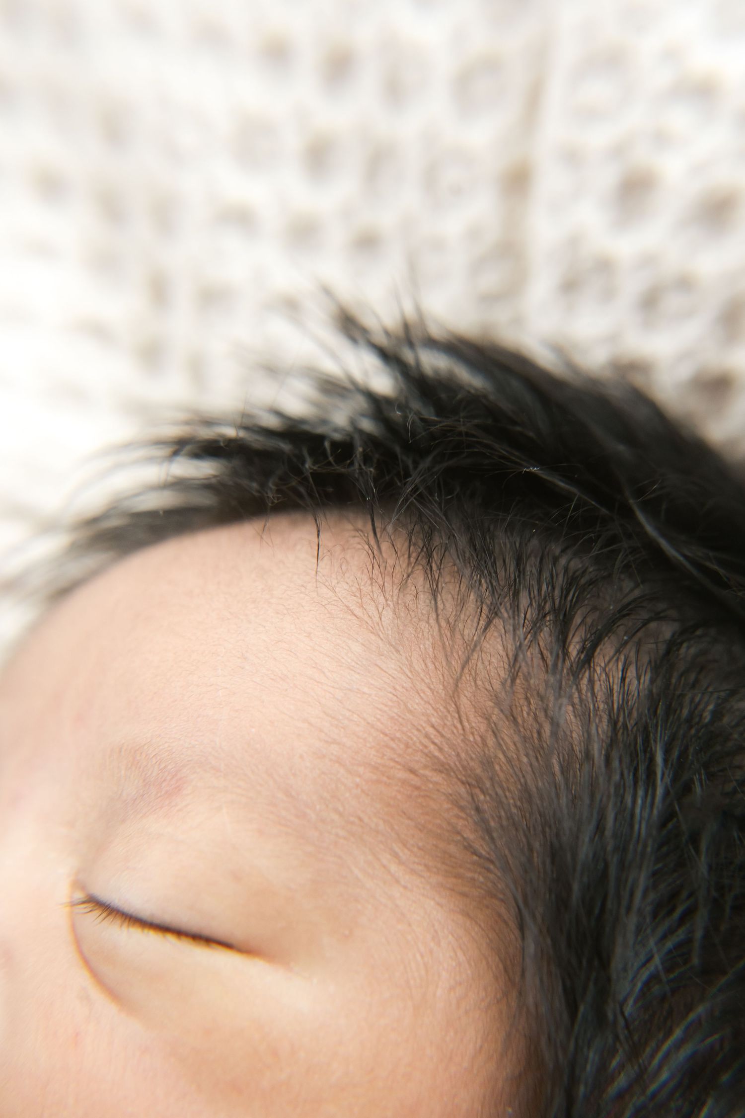 Close-up of newborn baby hands during a studio newborn photography session in Valparaiso, Indiana.