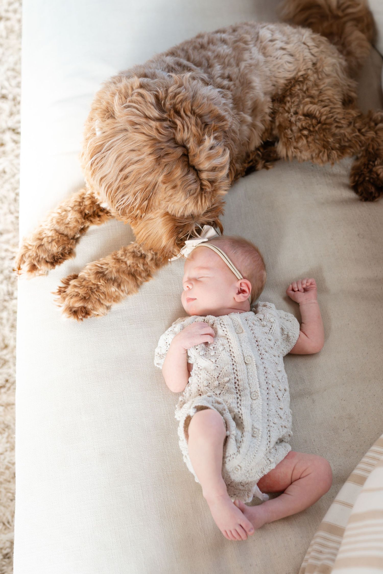 Family puppy and newborn baby cuddling on the couch during an in home newborn photography session in Valparaiso Indiana
