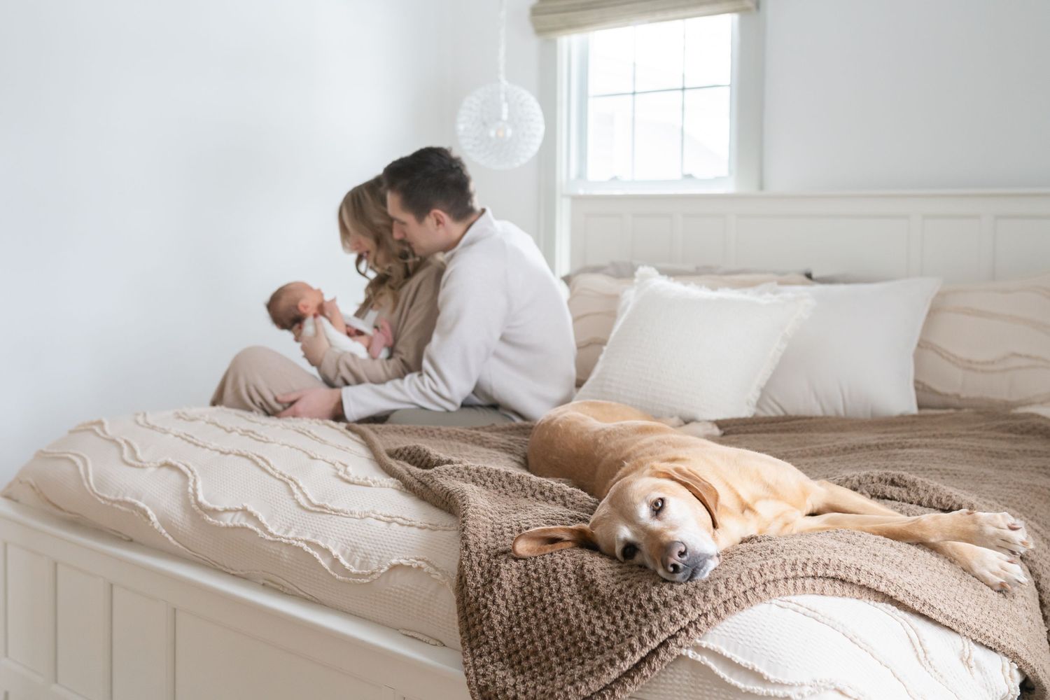 Family cuddling on bed during an in home newborn session near downtown valparaiso indiana