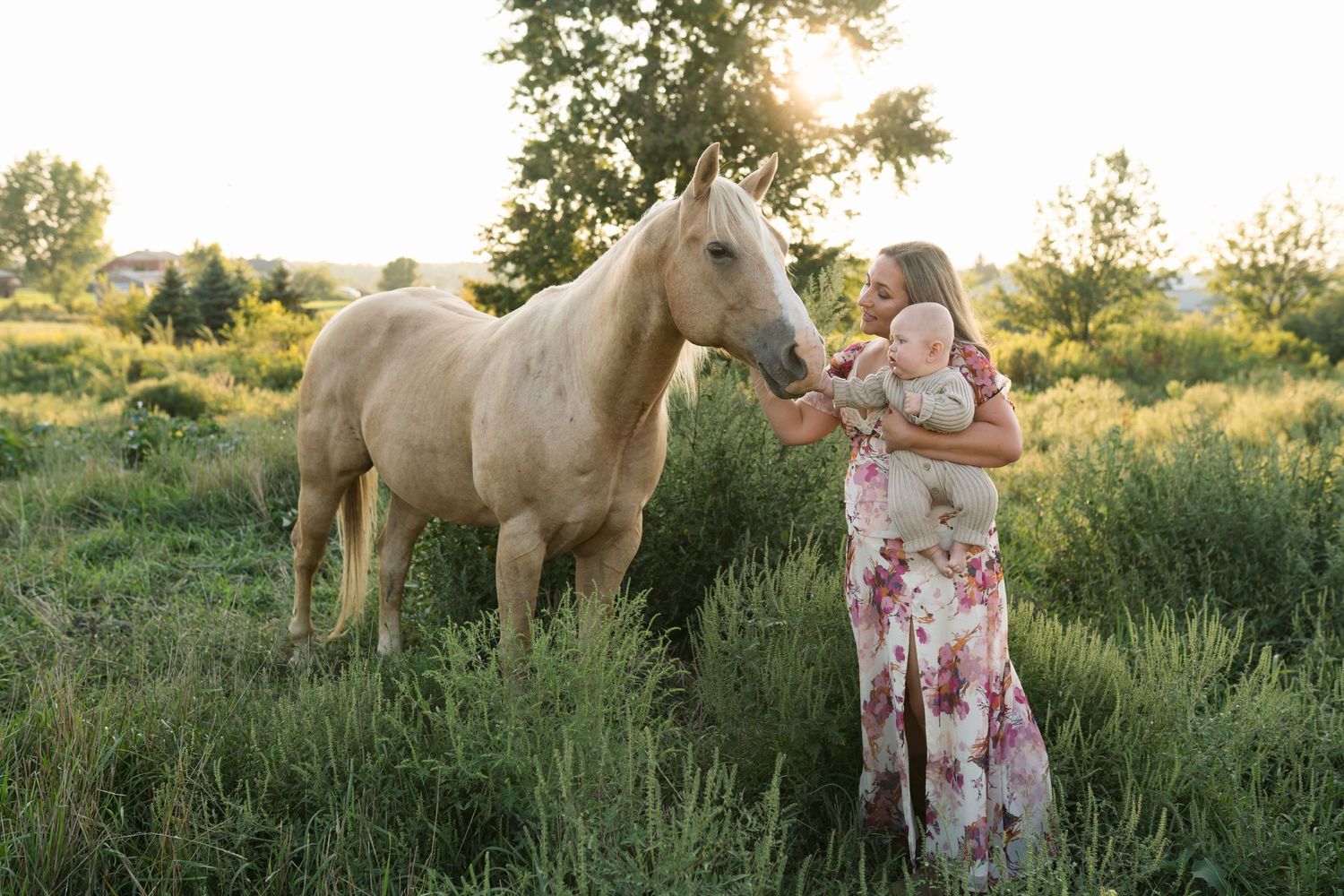 Family Session With Horses On A Private Property In St. John, Indiana Near Chicago
