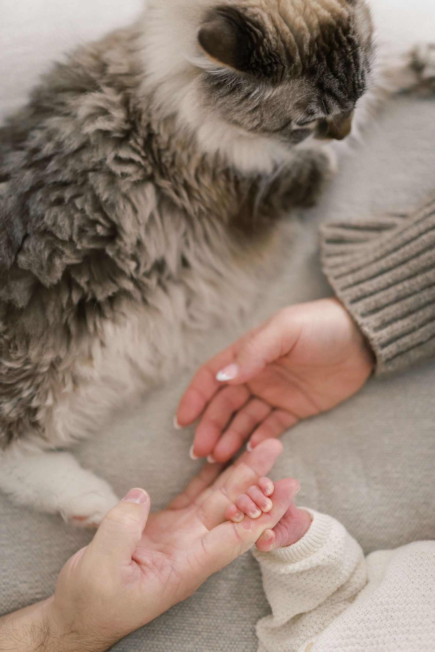 Newborn At Home Session In Crown Point, Indiana Near Chicago