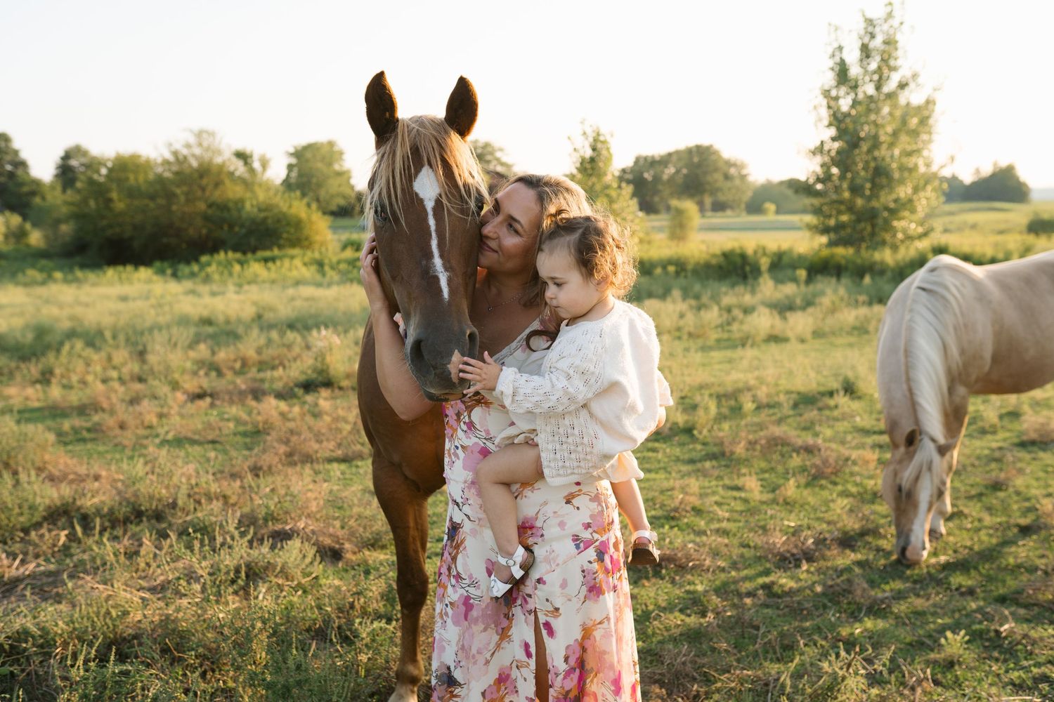Family Session With Horses On A Private Property In St. John, Indiana Near Chicago