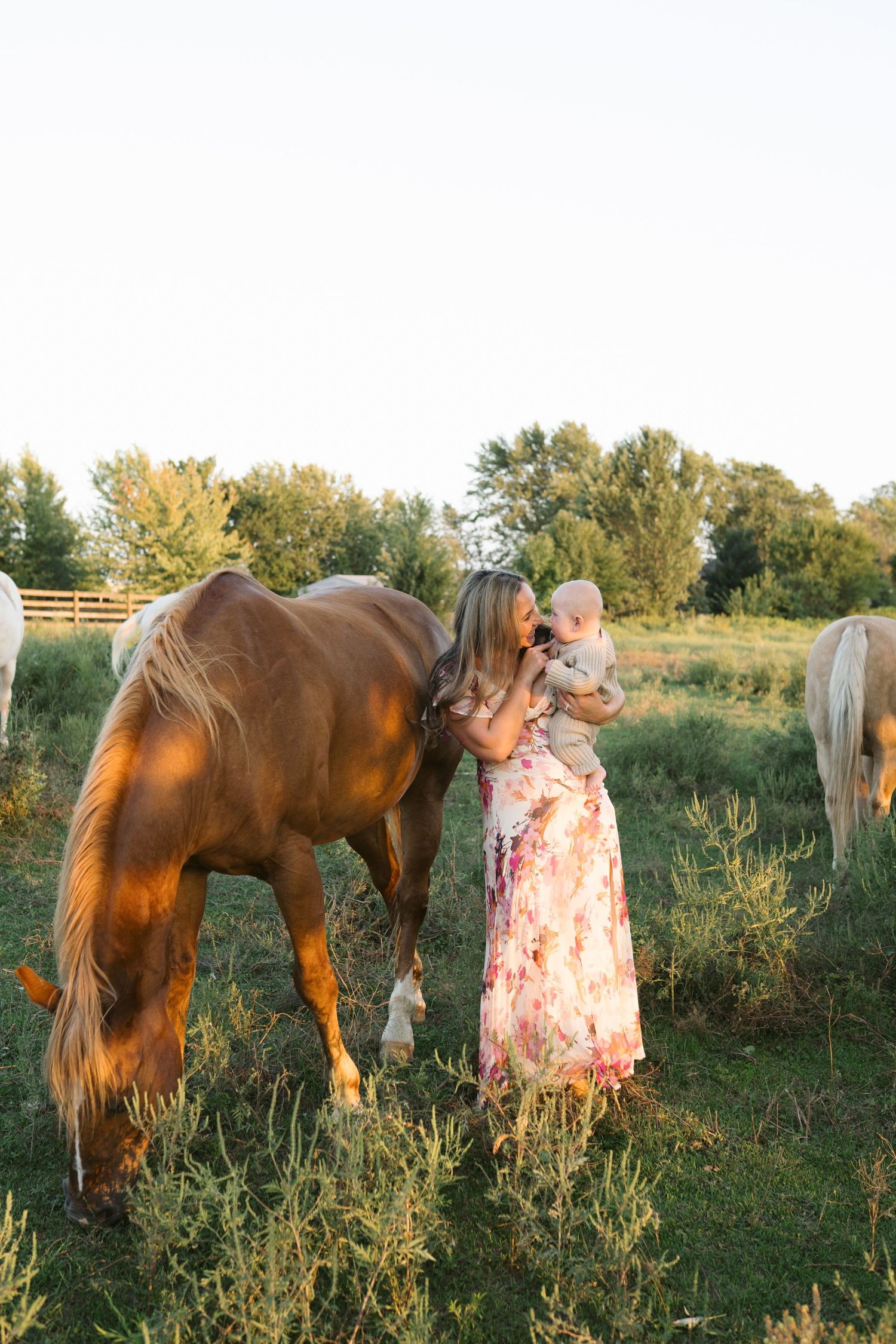 Family Session With Horses On A Private Property In St. John, Indiana Near Chicago