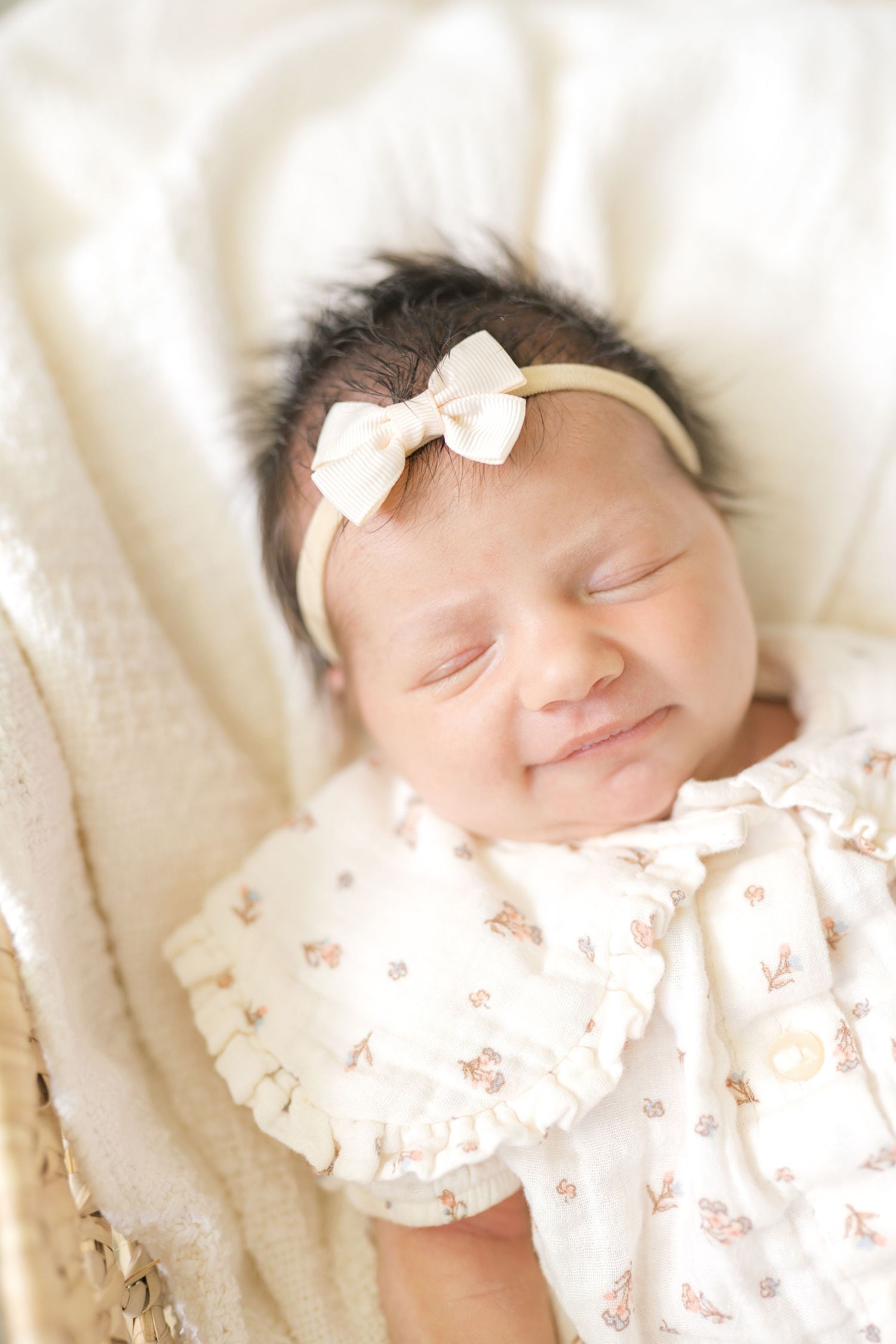 Crown Point Indiana Newborn Photos