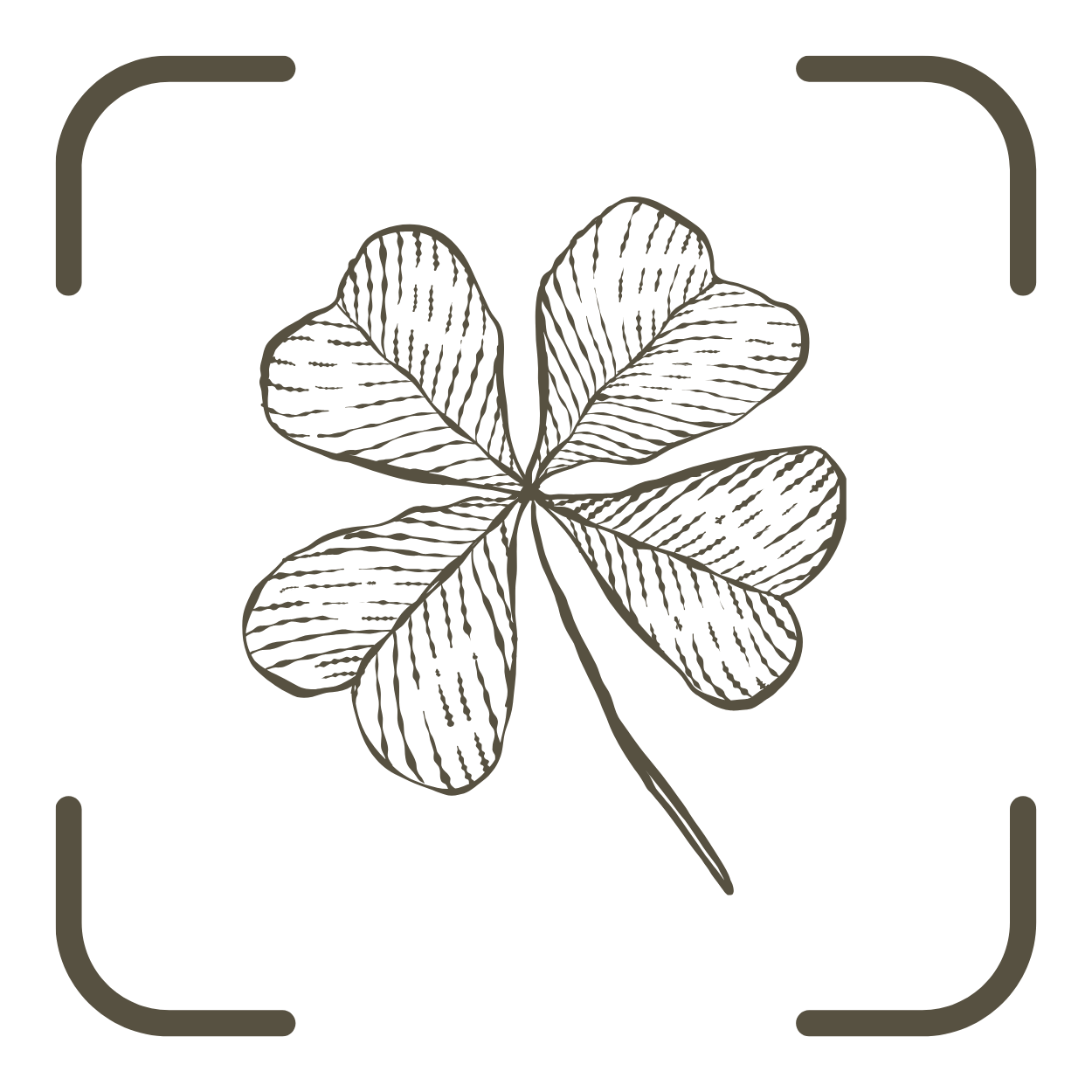 Hand-drawn sketch of a four-leaf clover with detailed line art, symbolizing luck, framed by corner brackets.