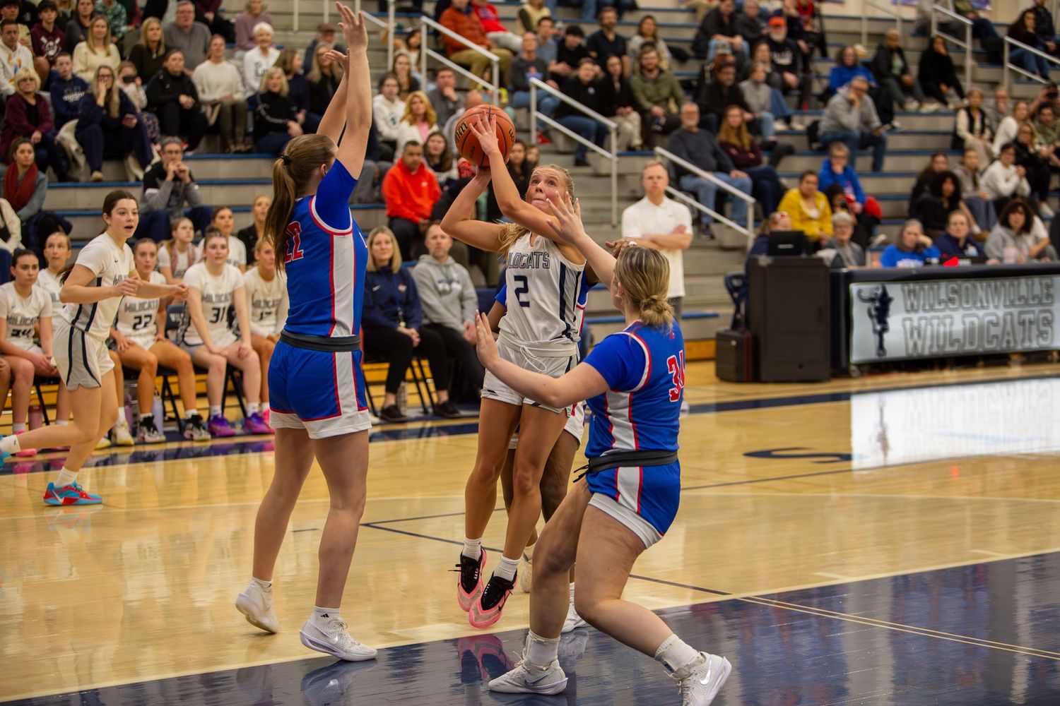 Wilsonville Wild Cats Basketball game photographed by Miles Butler Photography