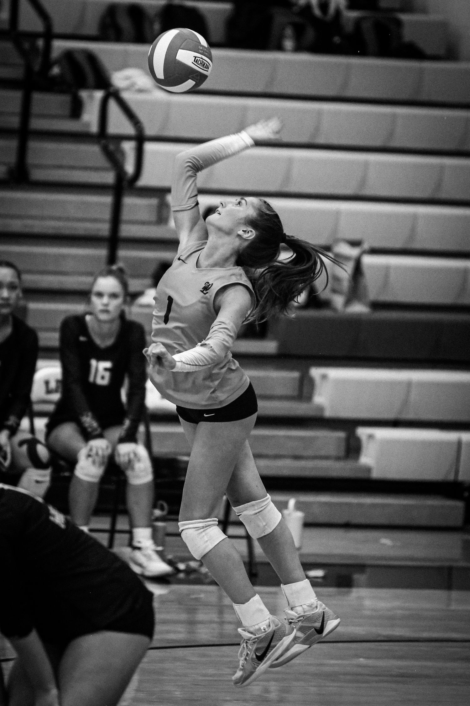 West Linn Lions Varsity Volleyball game photographed by Miles Butler Photography
