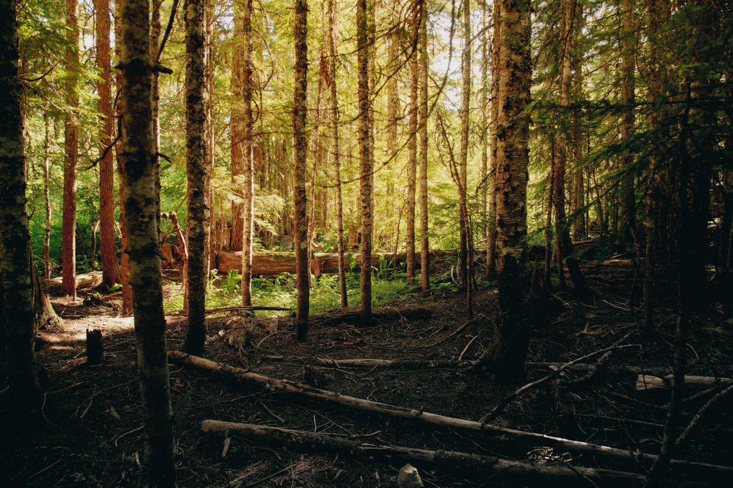 Nature Photography by Miles Butler