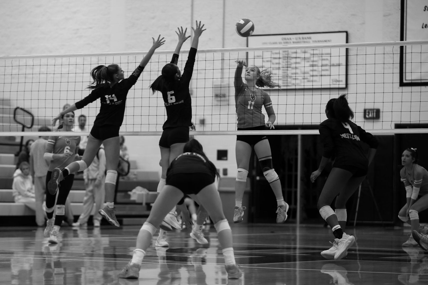 West Linn Lions Varsity Volleyball game photographed by Miles Butler Photography