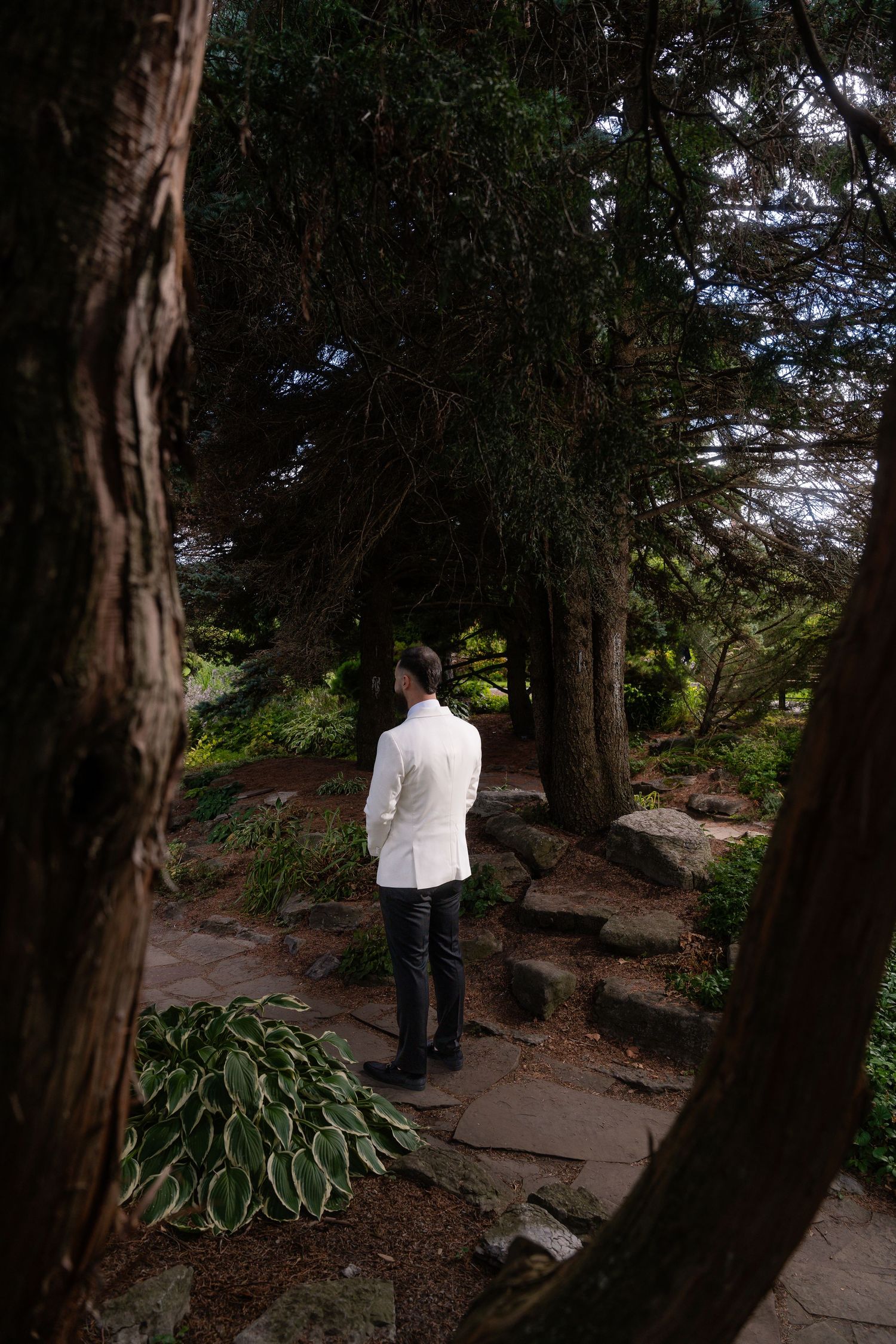 A wooded path with stone steps and lush greenery in a peaceful garden setting.