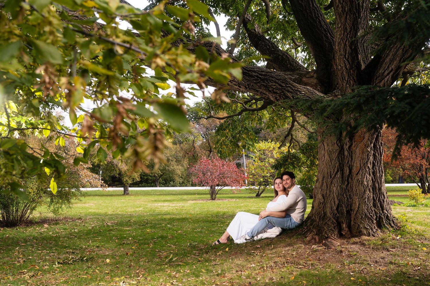 A couple relaxes under a large tree in a scenic autumn park during a romantic afternoon outing.