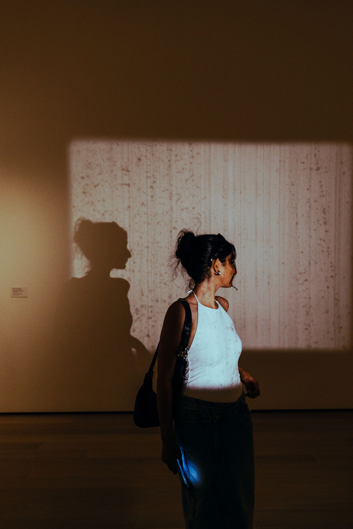 Artistic silhouette portrait with dramatic shadows against light wall.