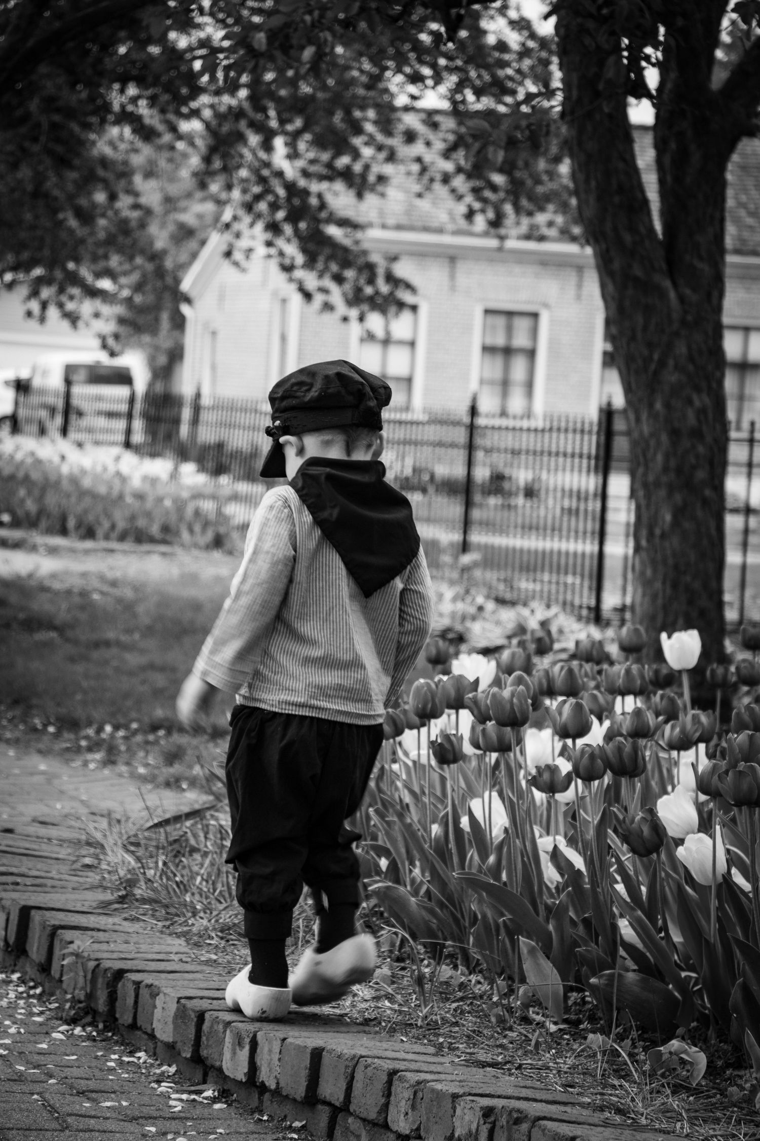 Toddler boy in dutch costume