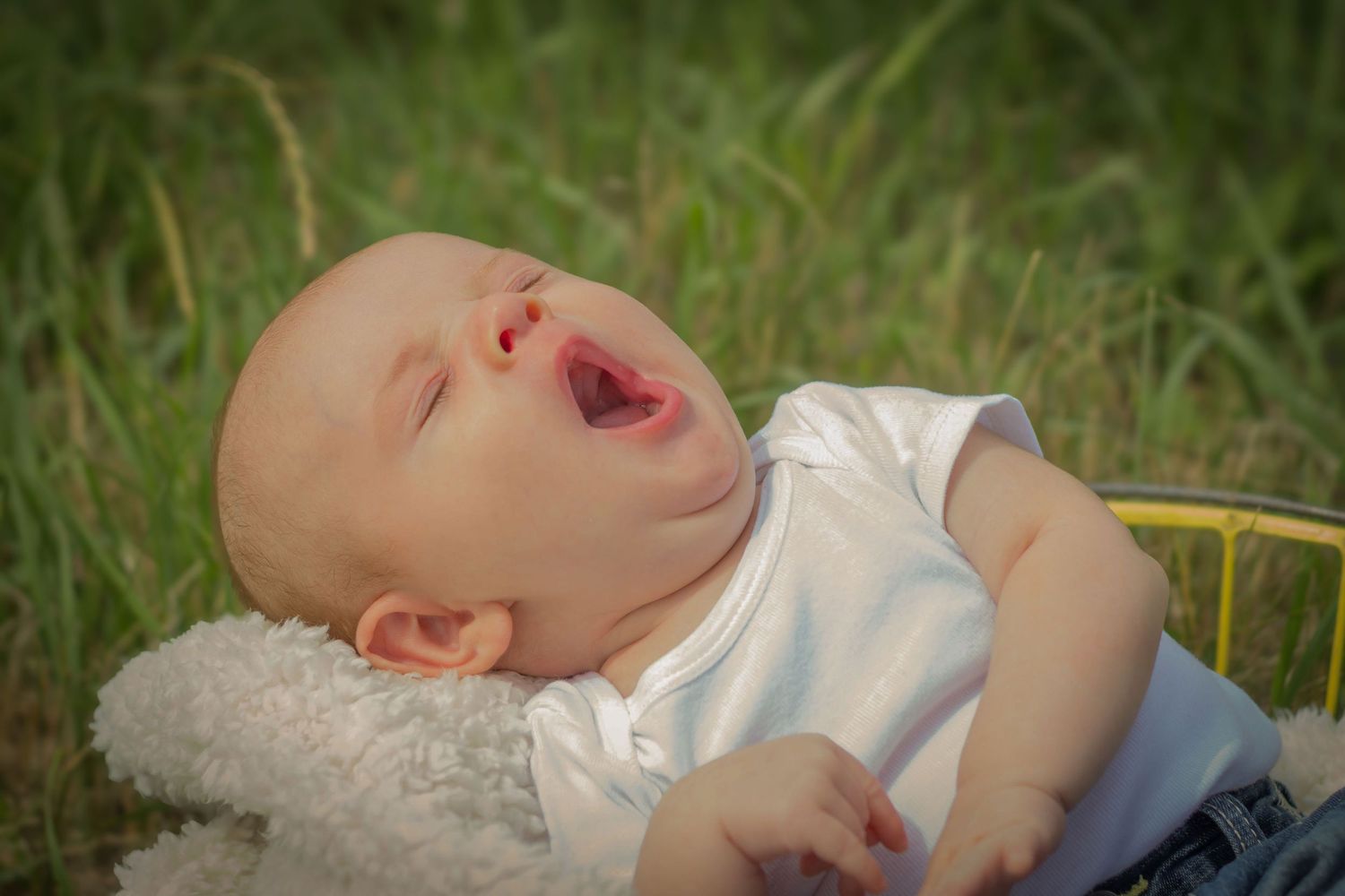 Newborn yawning in field