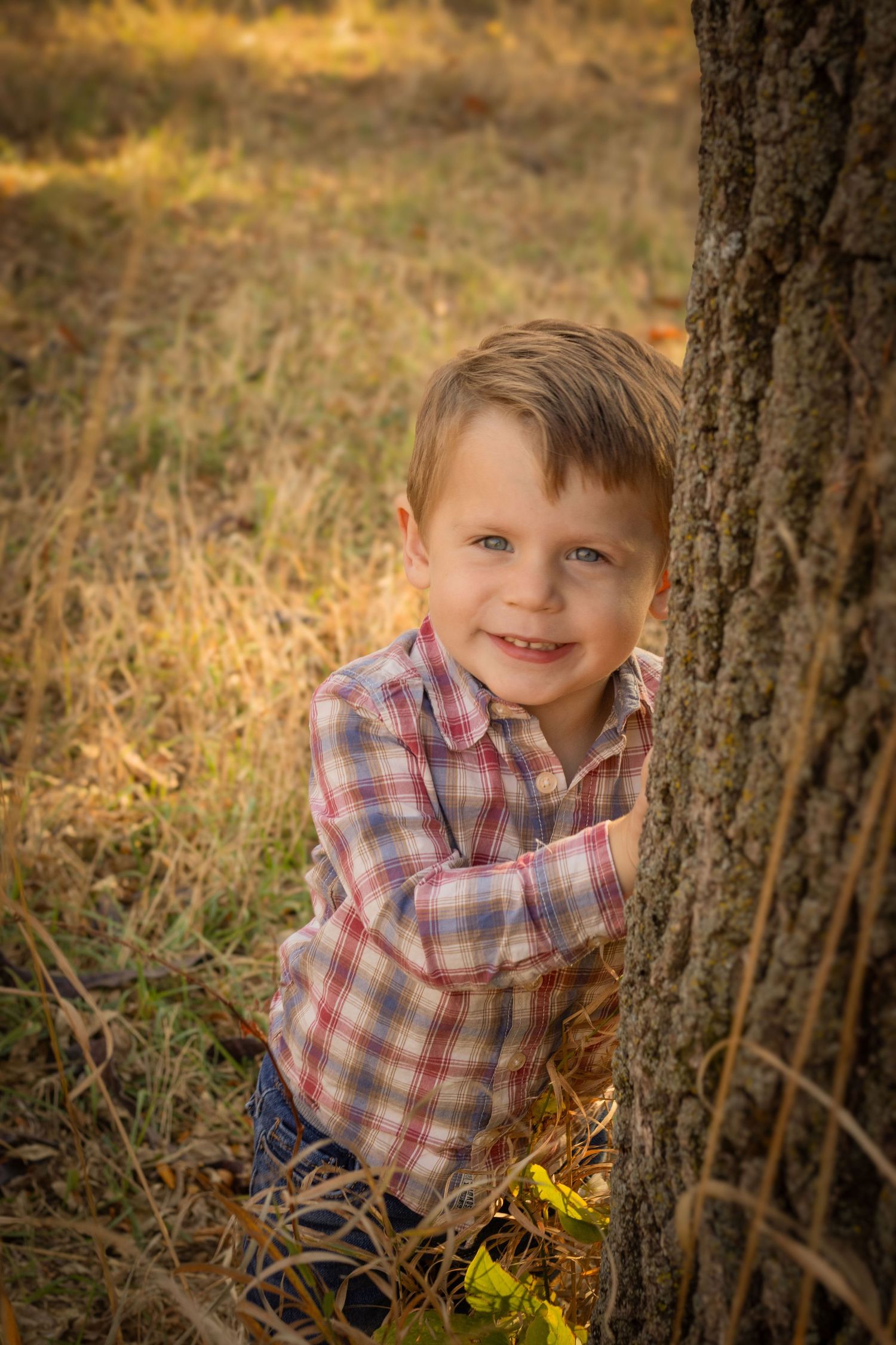 Toddler boy by a tree