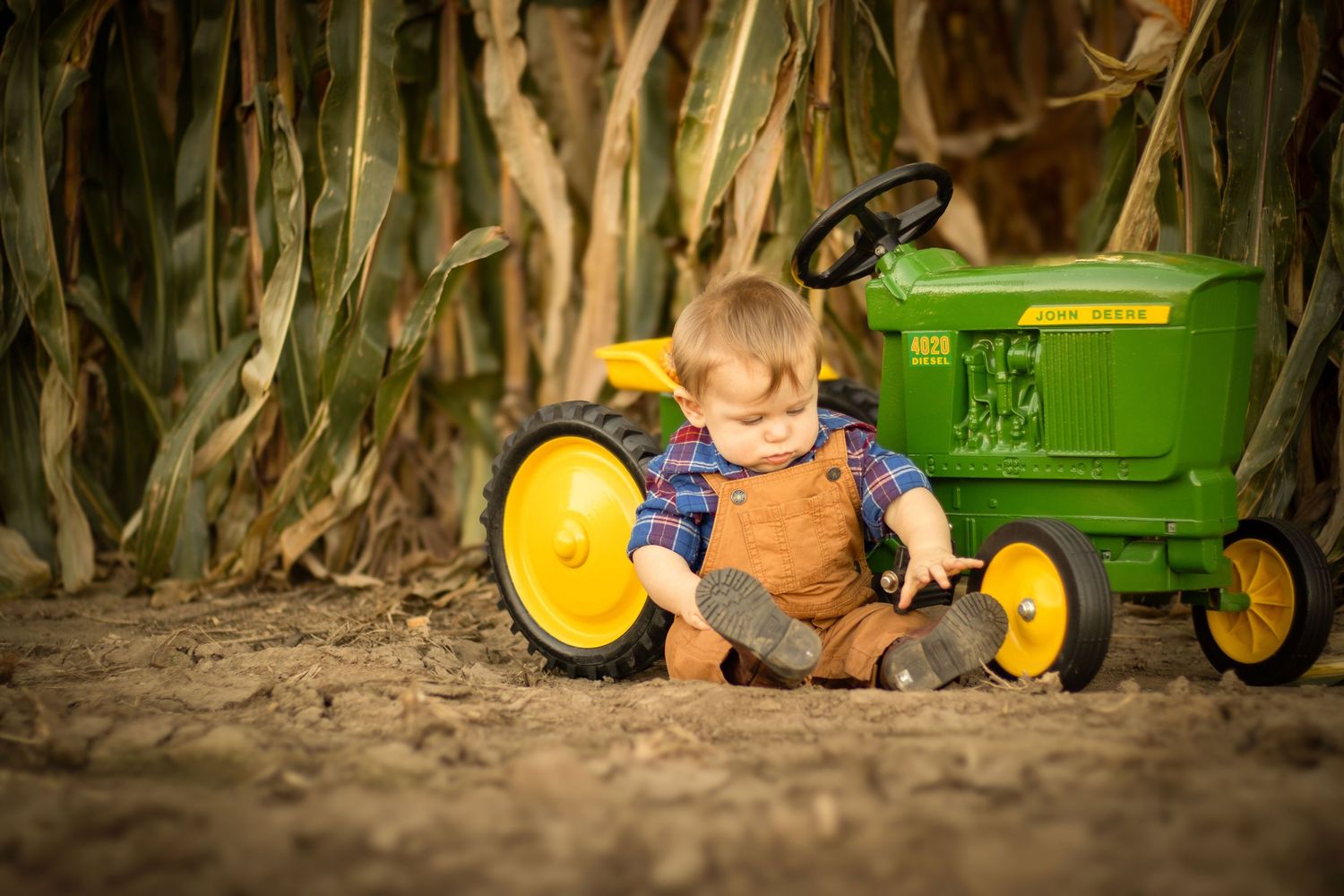 1 year old boy with pedal tractor