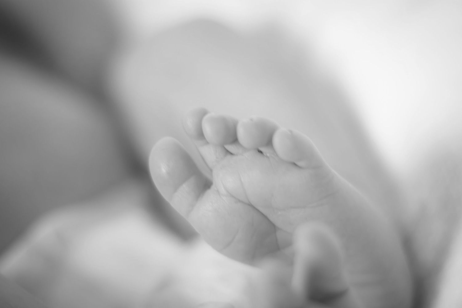 Newborn baby feet