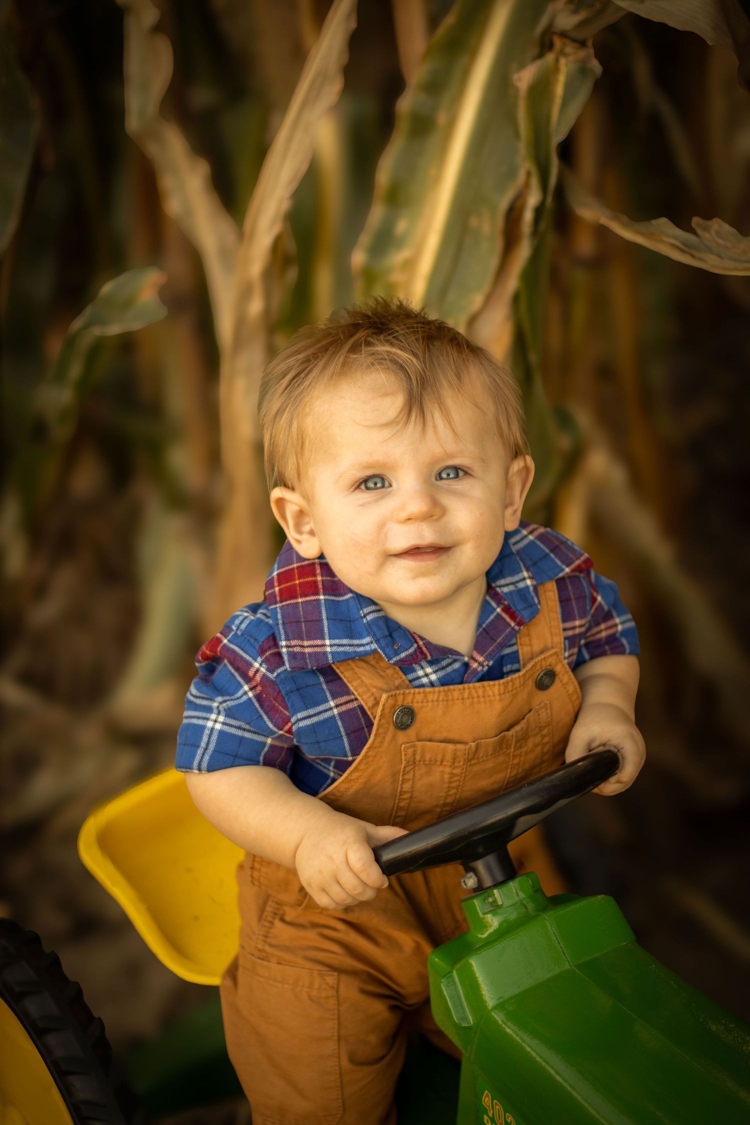 Baby boy on a pedal tractor