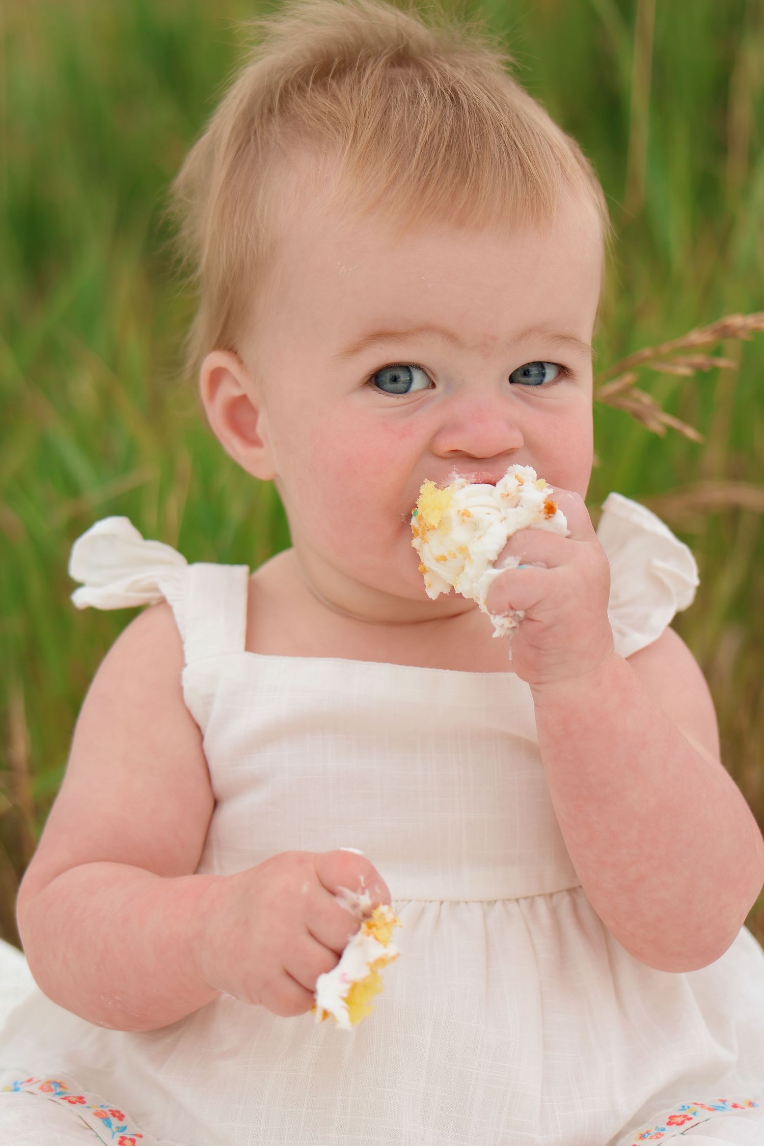A baby in a white dress enjoys eating a piece of cake while sitting in tall grass.