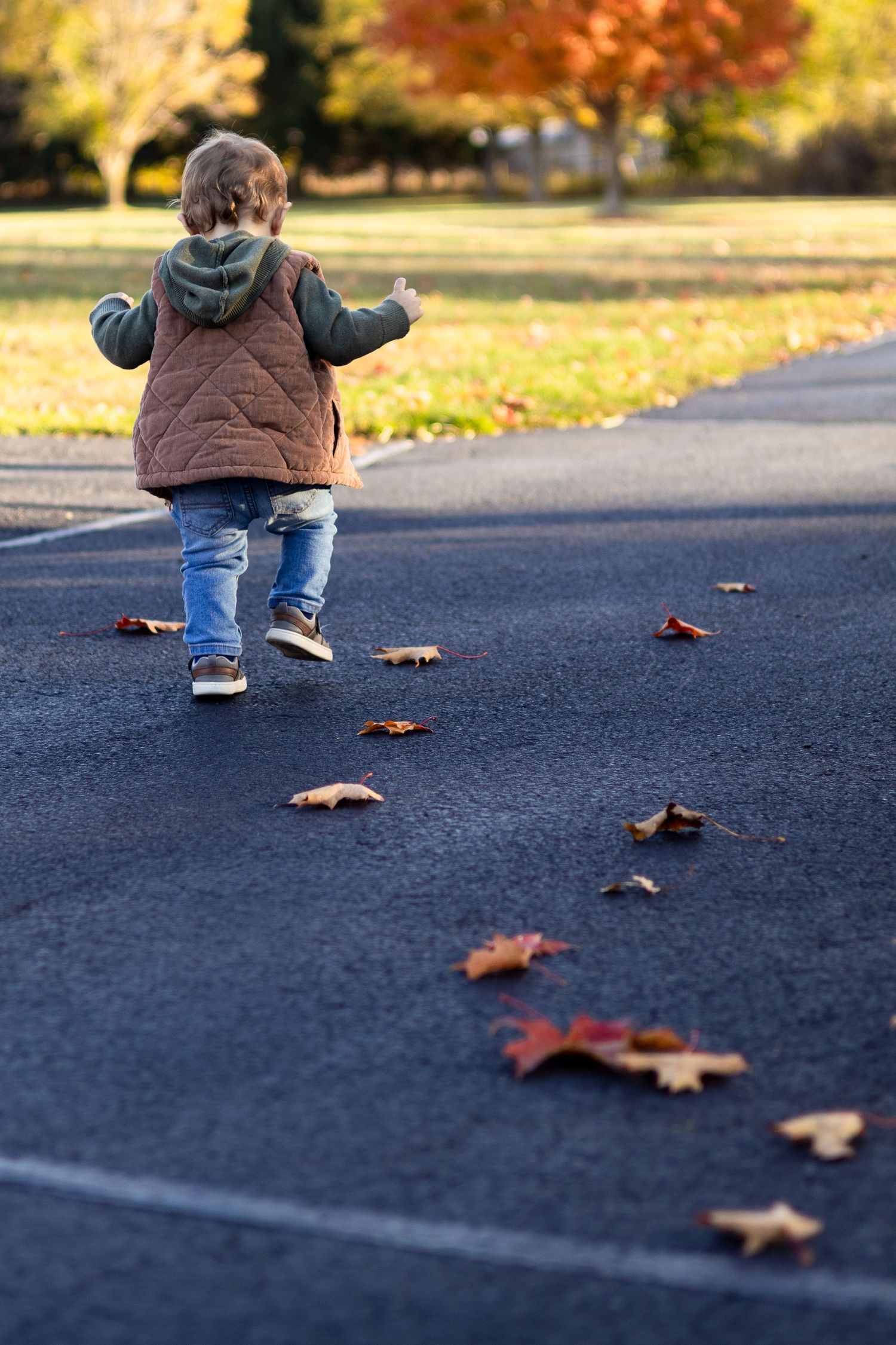 Small figure walking on pavement with scattered autumn leaves creating a trail in the sunlight.