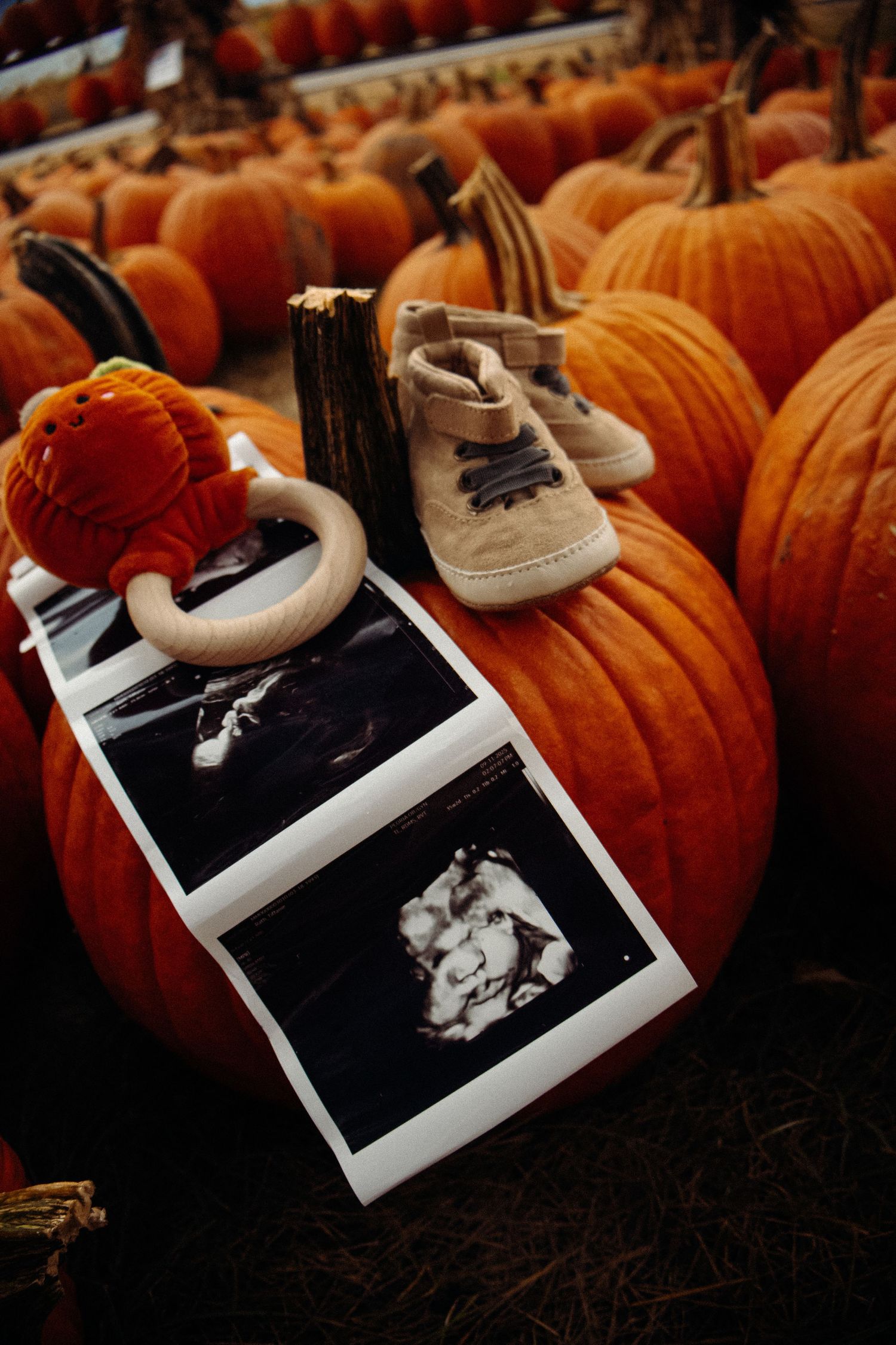 Baby shoes and ultrasound photos arranged on orange pumpkins for a pregnancy announcement.