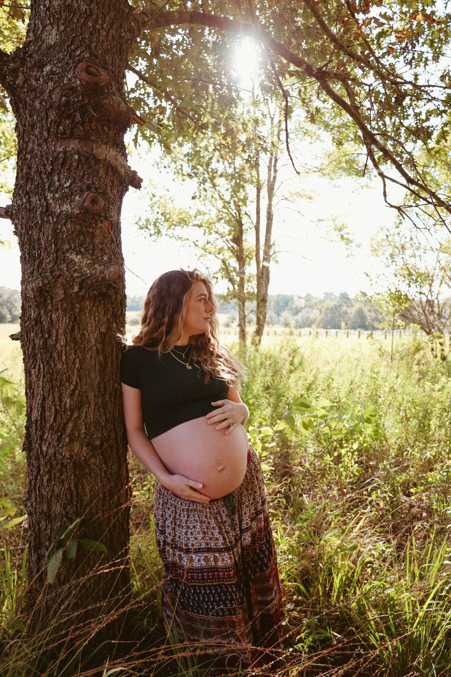 A maternity photo shoot in a sun-dappled forest setting with dramatic lighting.