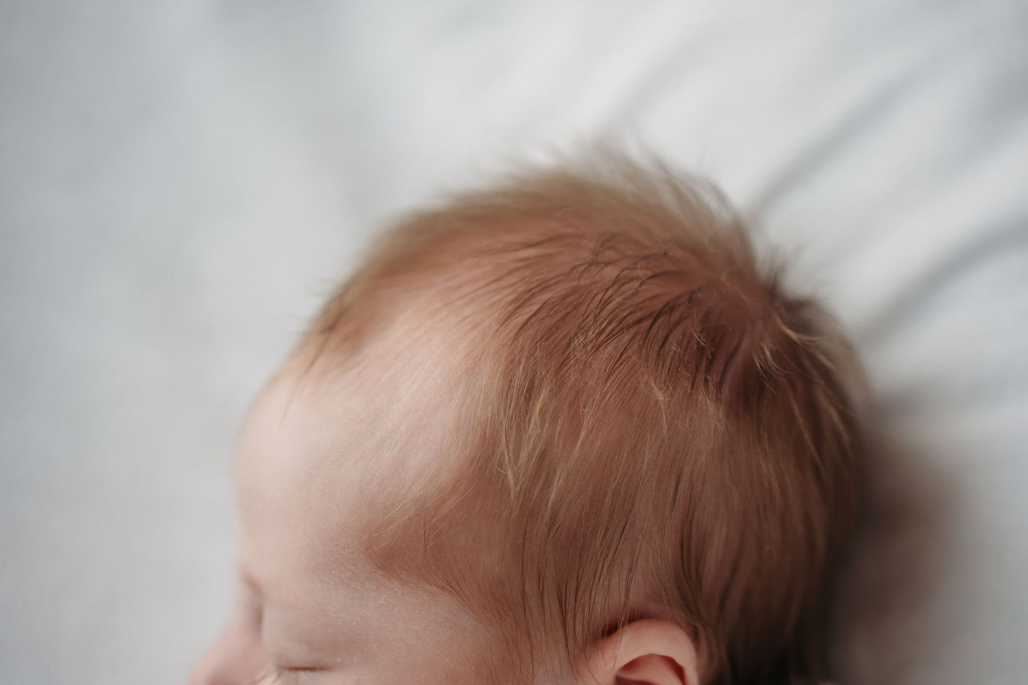 Newborn Photography, Portland IN Photographer, East Central Indiana