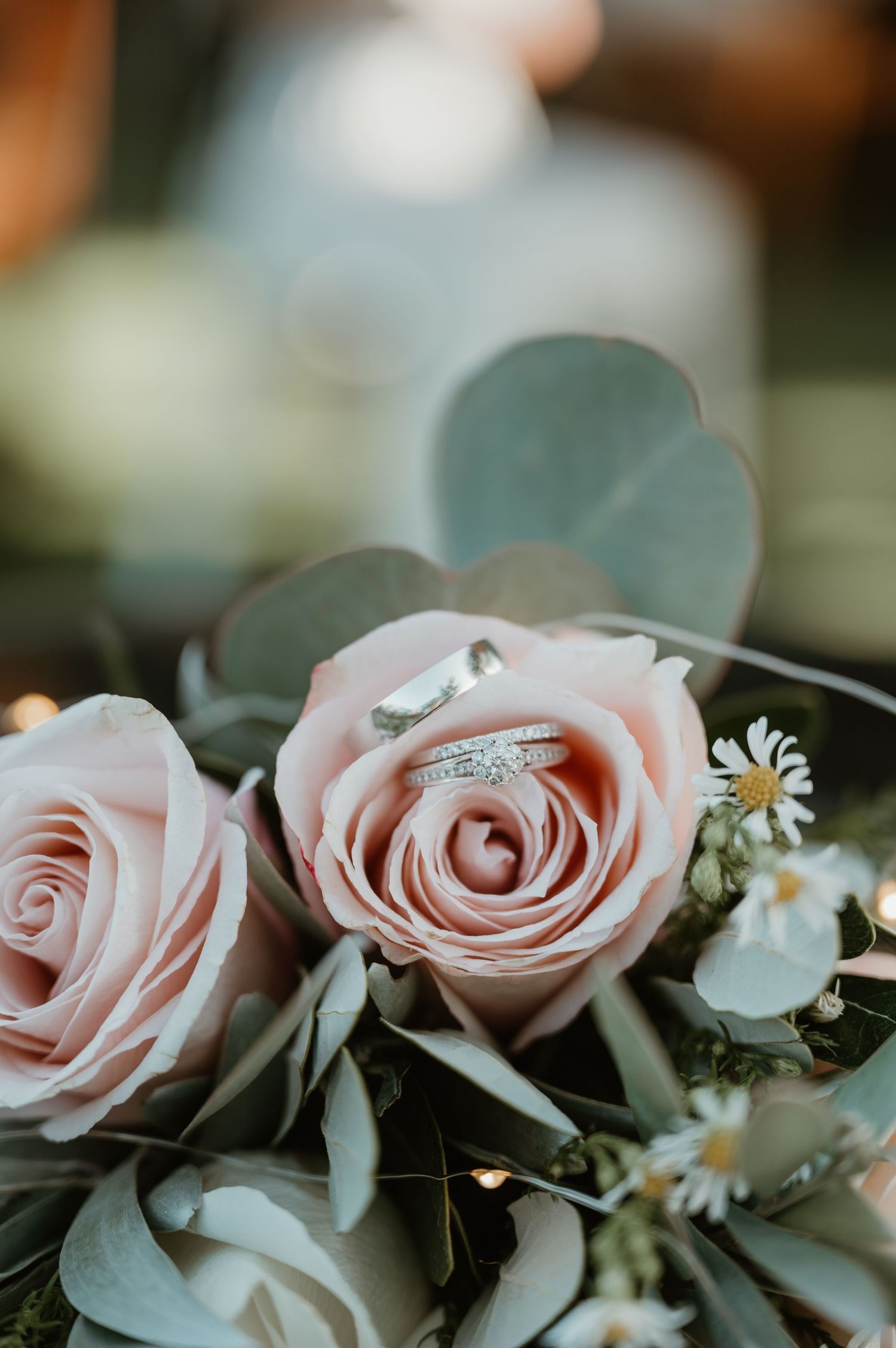 Delicate pink roses and daisies arranged artistically in a soft romantic wedding bouquet closeup.