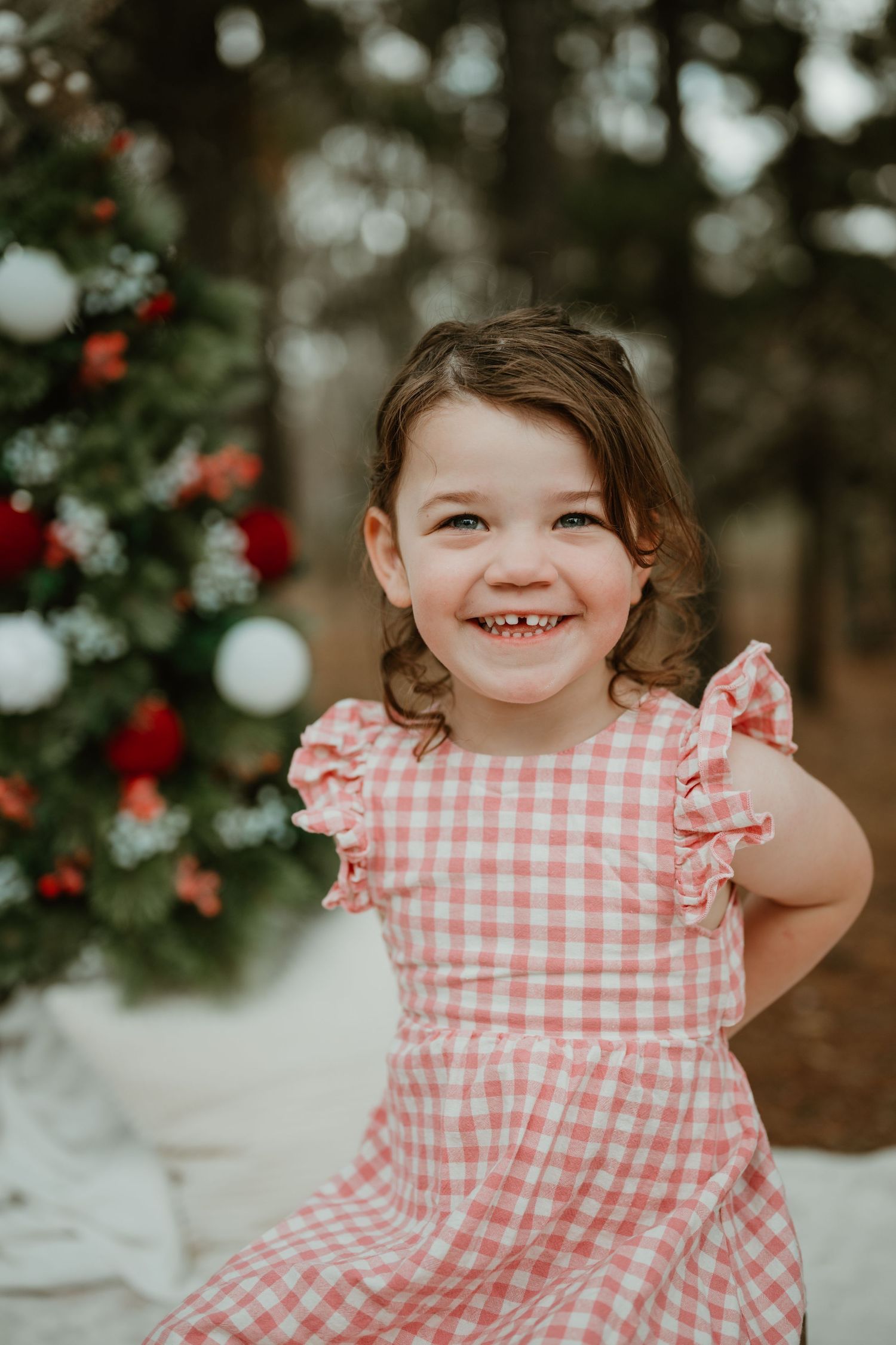 A smiling toddler girl in a pink gingham dress poses outdoors near a decorated Christmas tree.