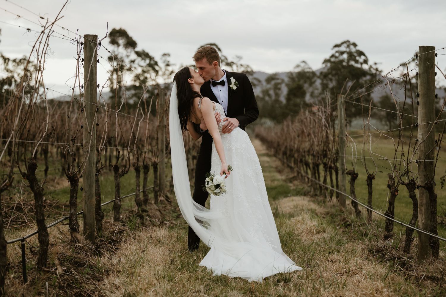 Panoramic wedding portraits set against the backdrop of a winter vineyard landscape.